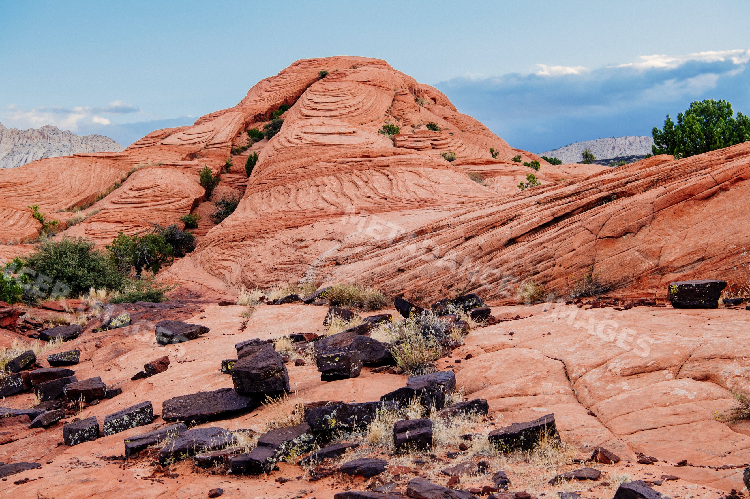 Red rock formations and desert landscape at red Cliffs Desert State