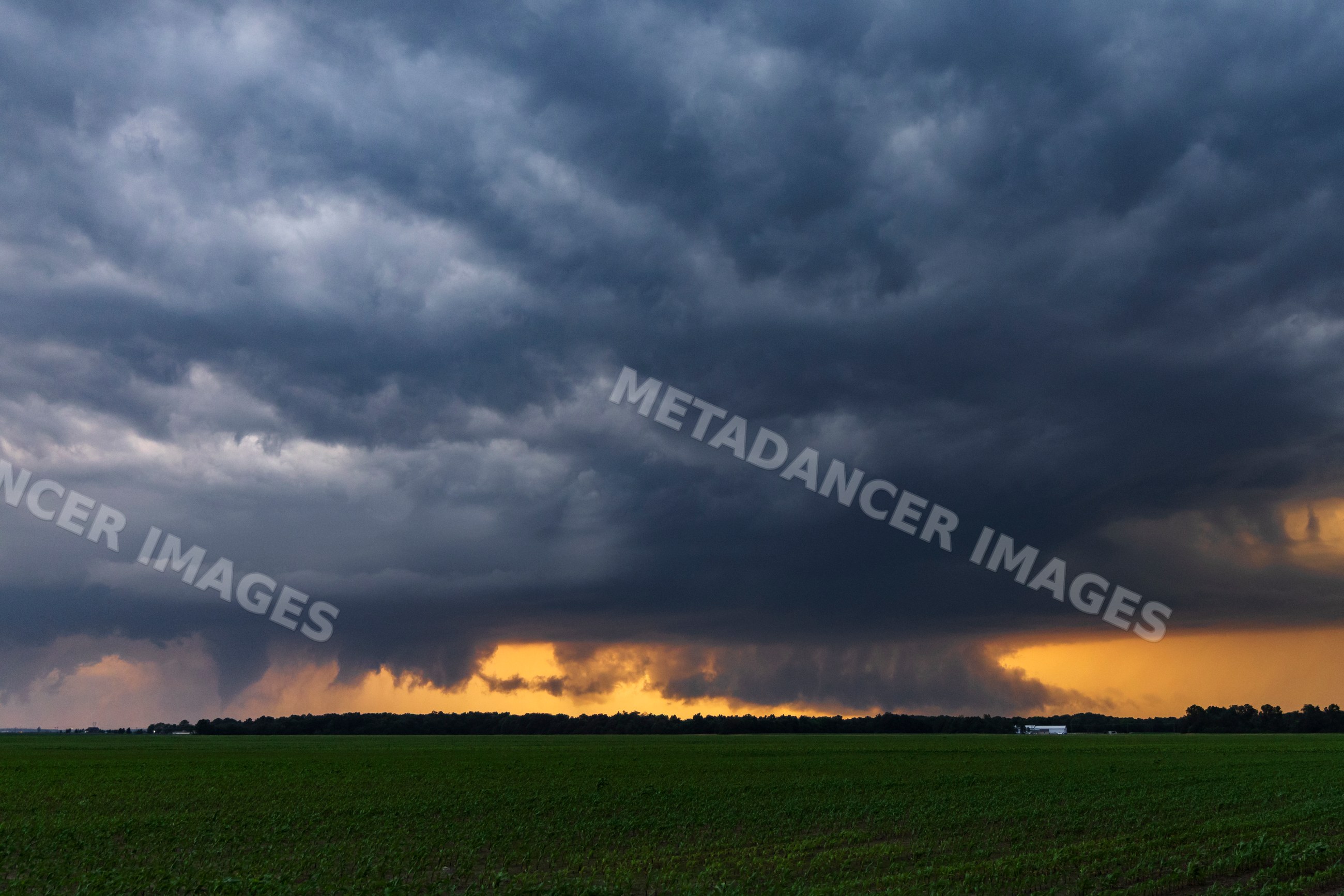 Tornado forming over fields between Newton and Wheeler, illinois