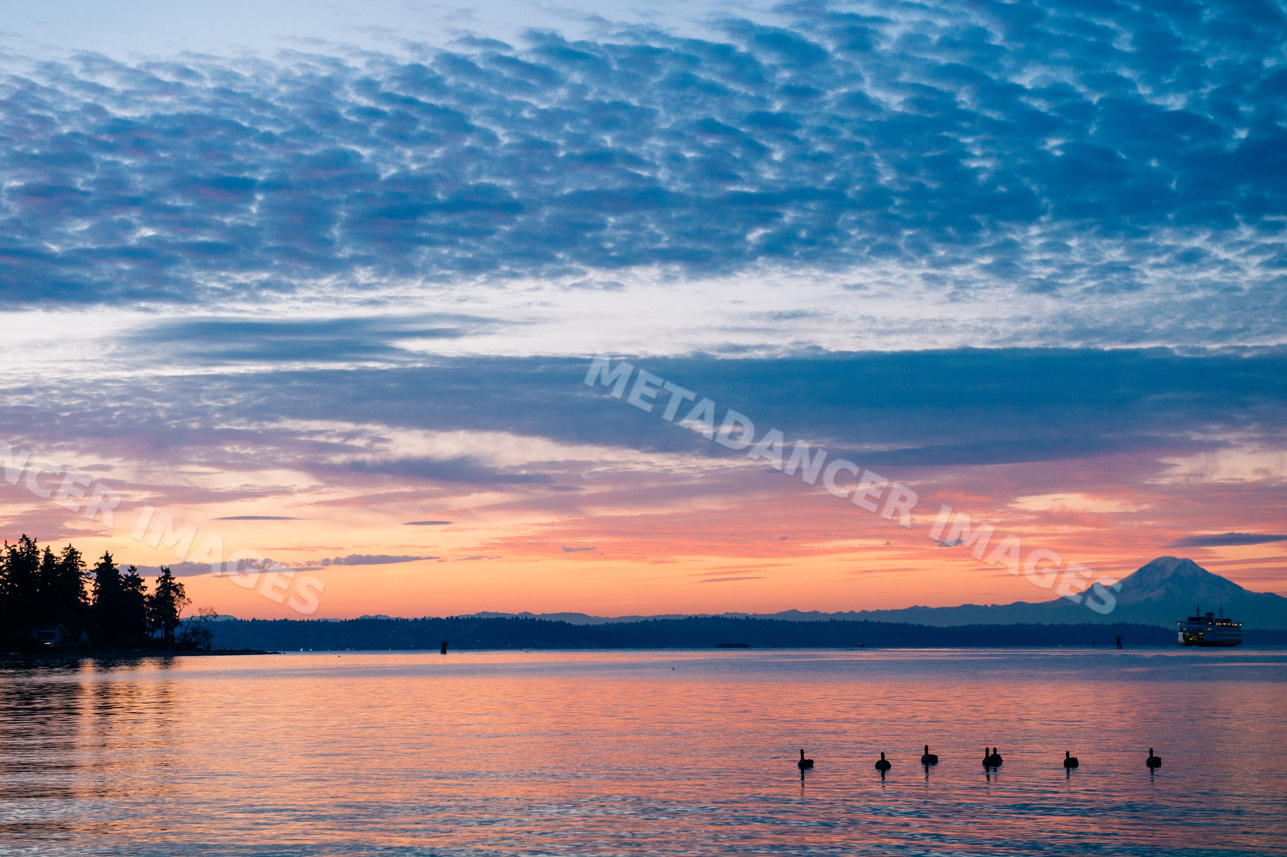 Sunset over Bainbridge Island water with mount rainier and ferry