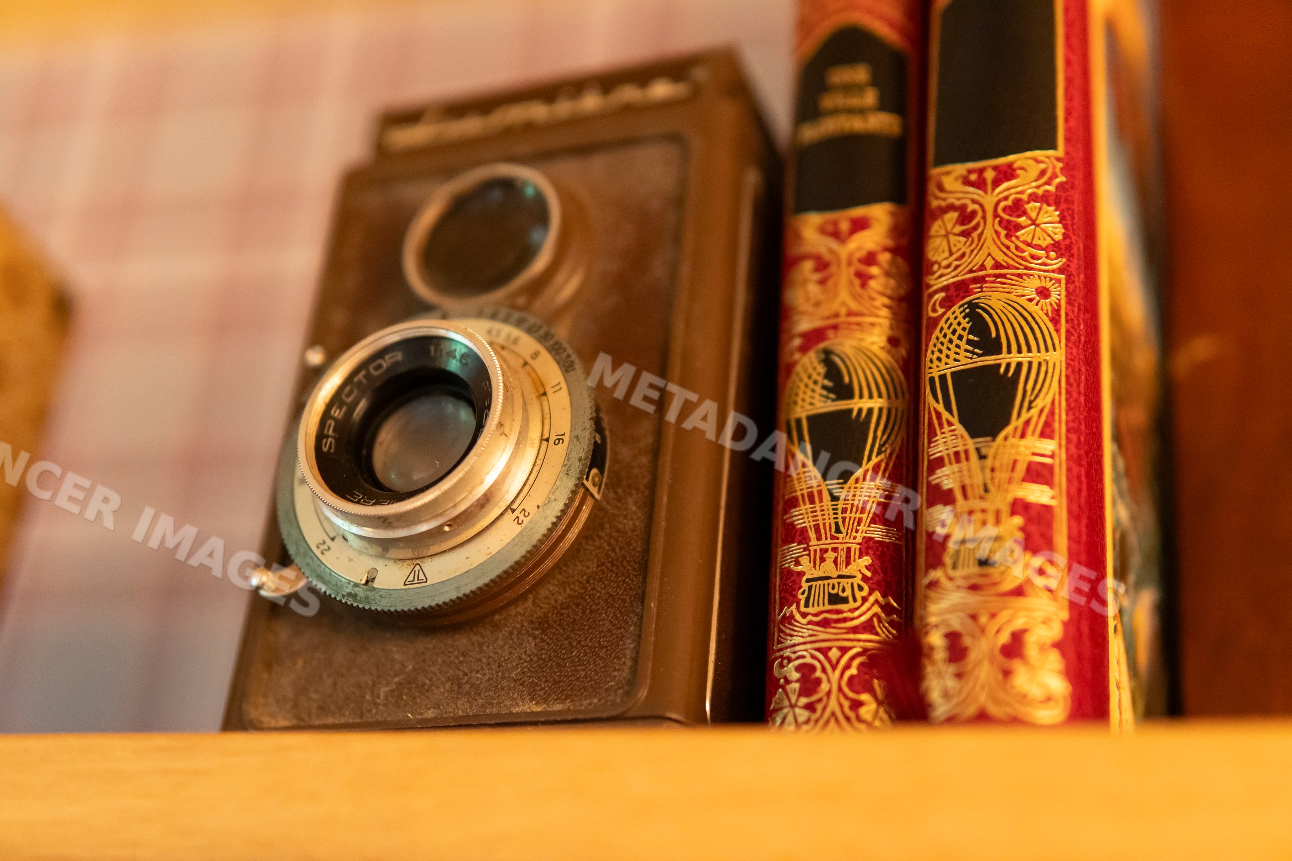Vintage camera and ornate books on a wooden shelf in Verdun, France