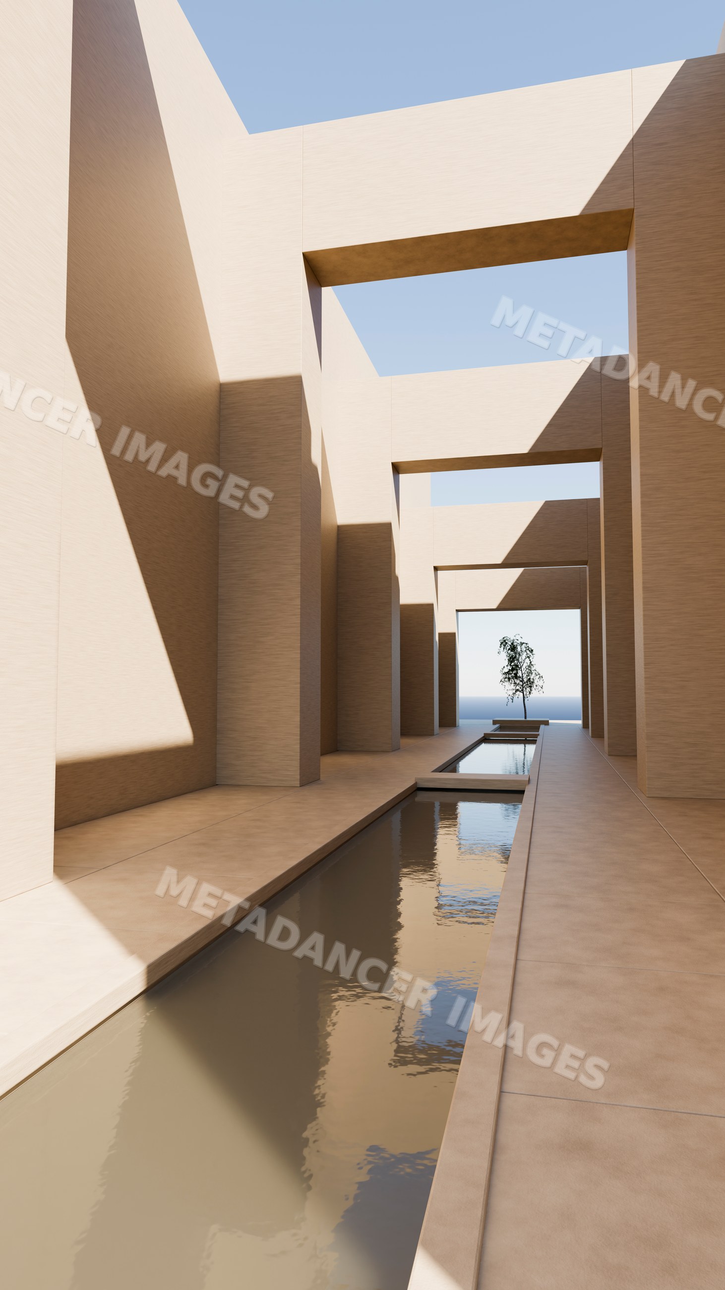 Modern minimalist outdoor corridor with reflecting pool and tree