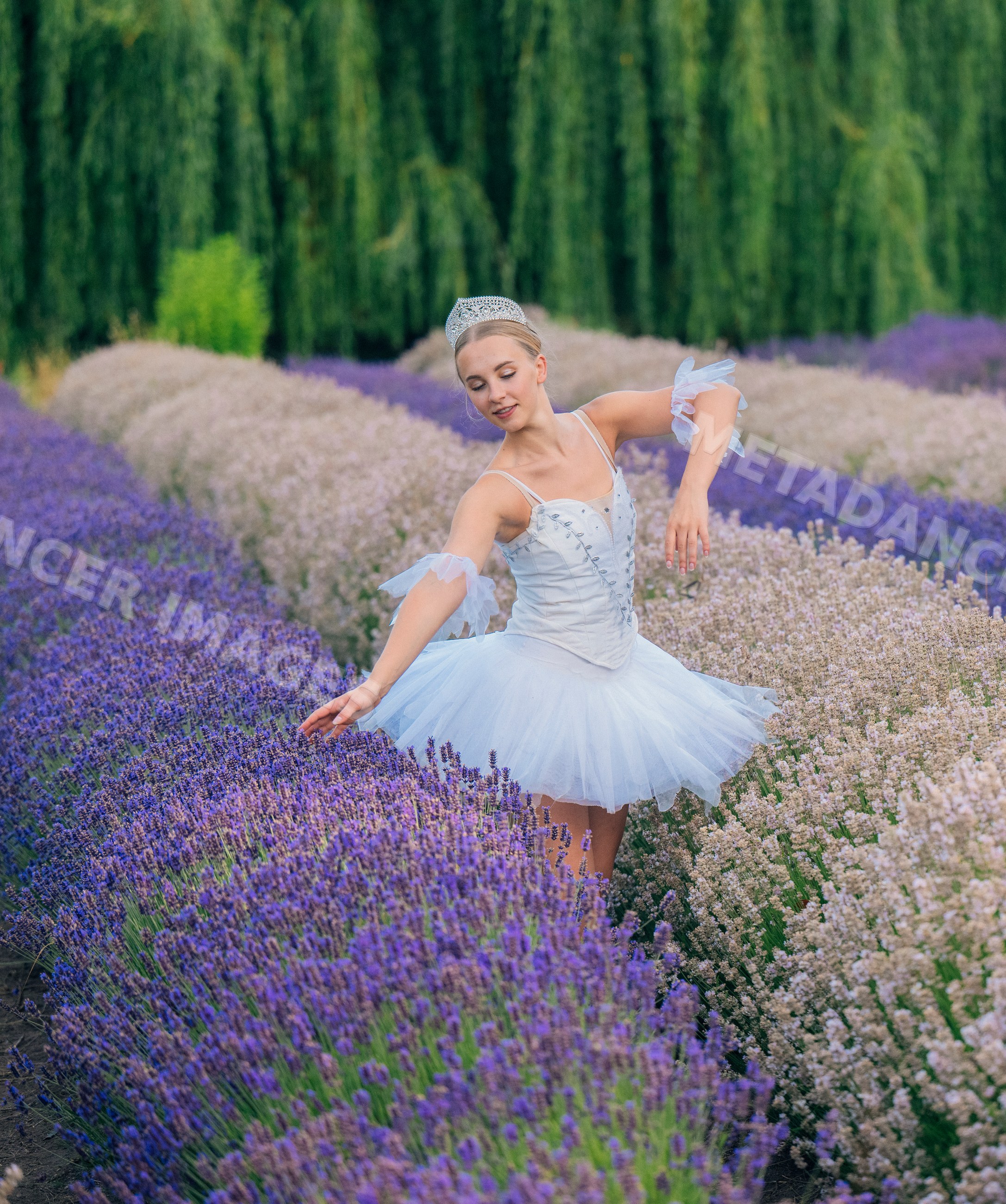 A dancer in a white tutu poses gracefully in a lavender field