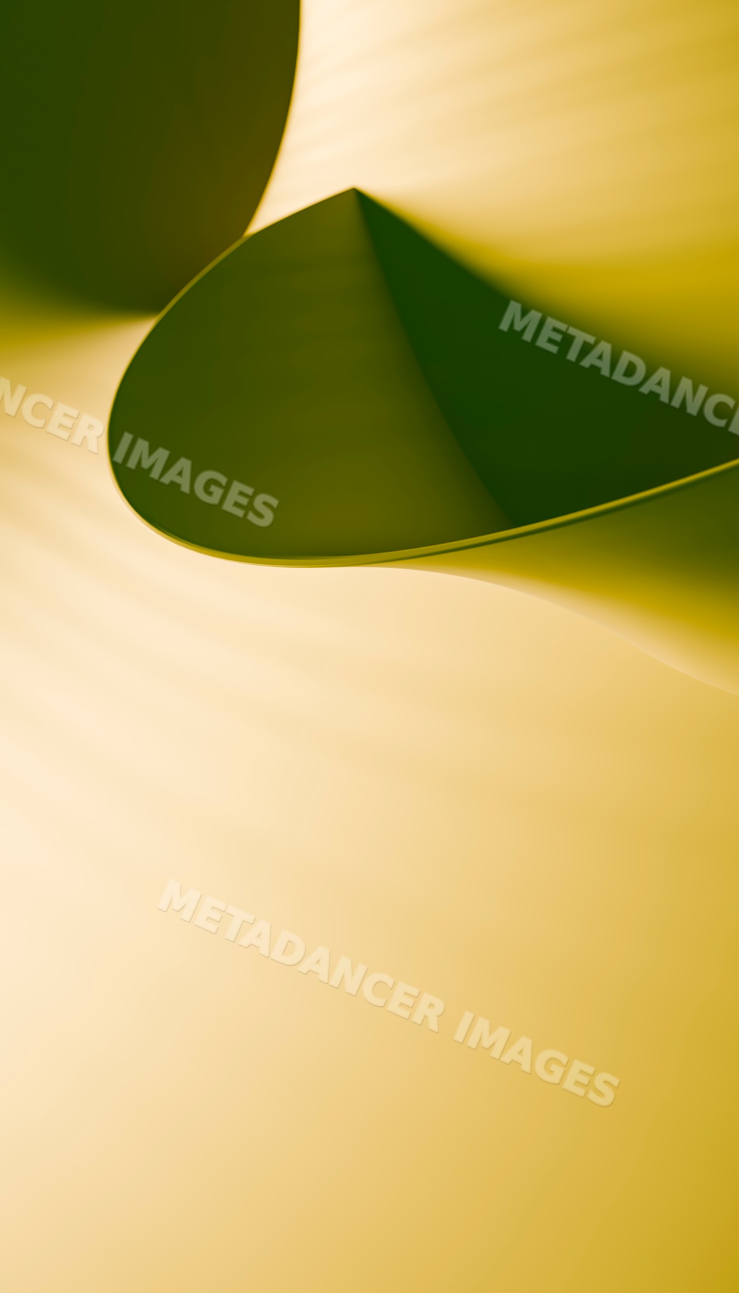 Abstract curled yellow paper forming smooth flowing shapes