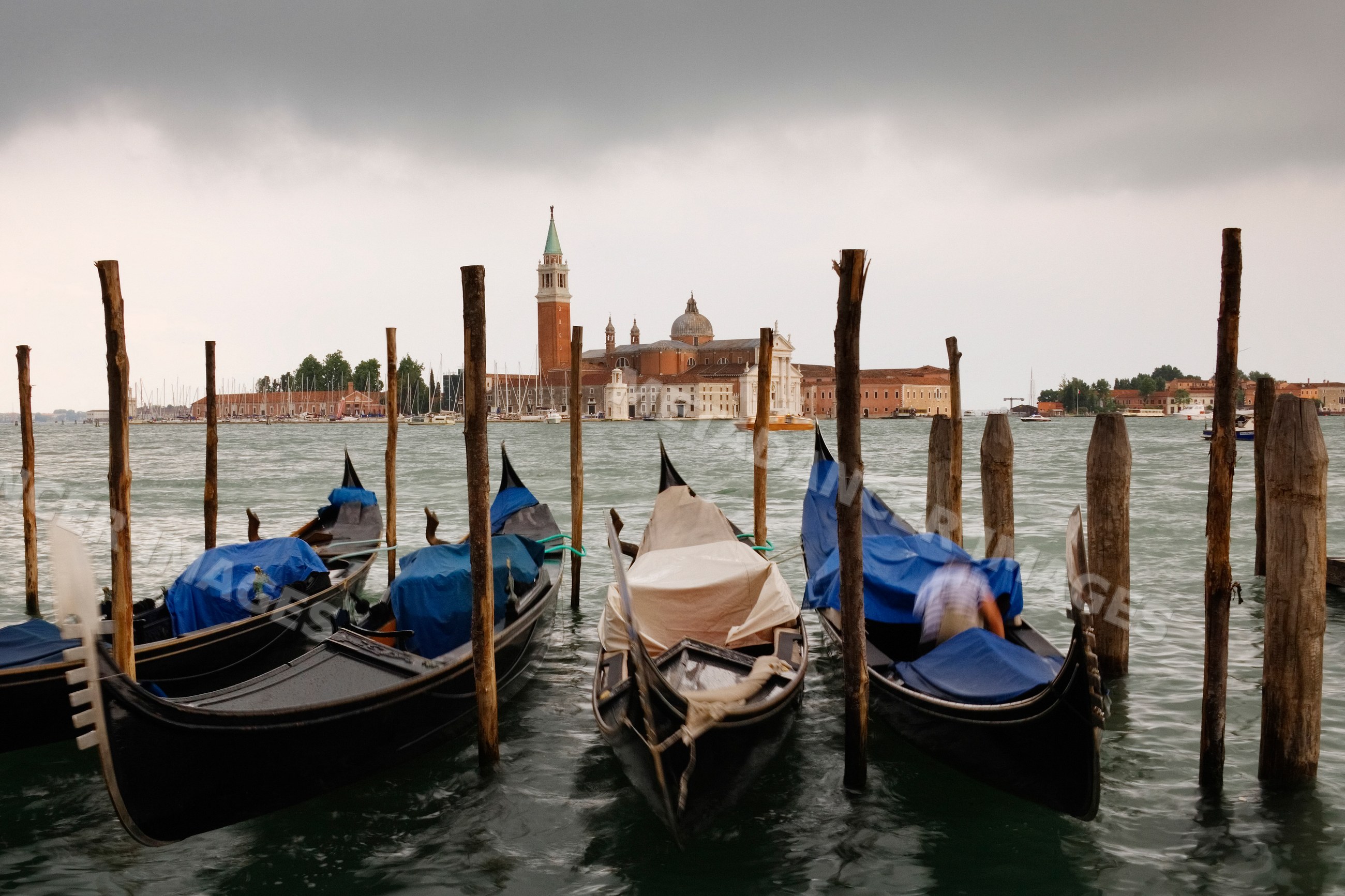 Gondolas moored with san giorgio maggiore church in background