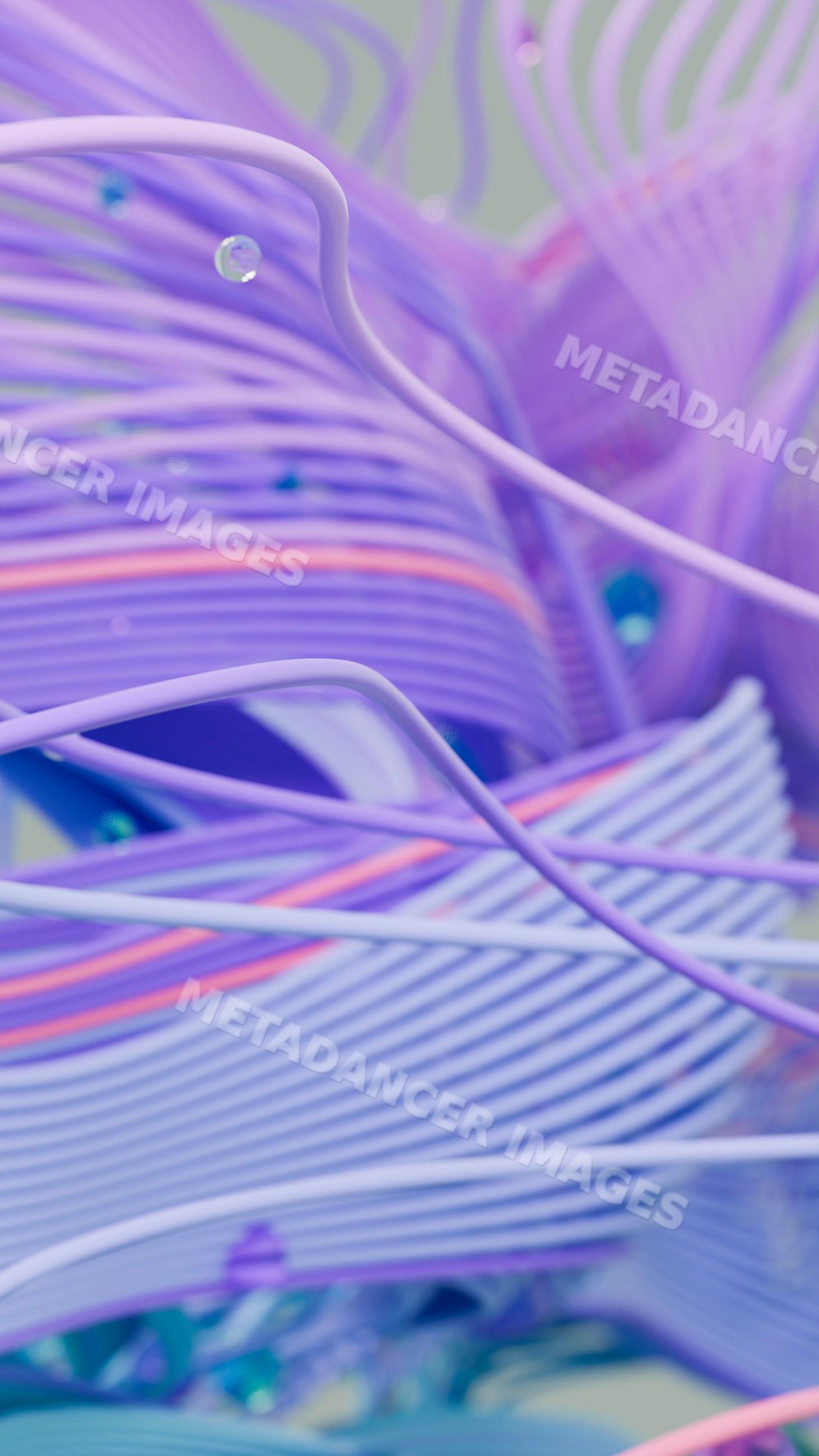 Abstract flowing purple and blue curved lines digital illustration