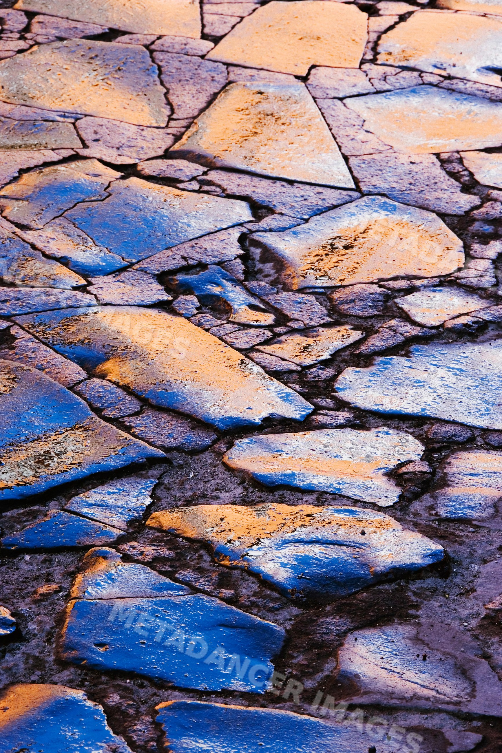 Damp cobblestones reflecting blue and orange light on outdoor pathway