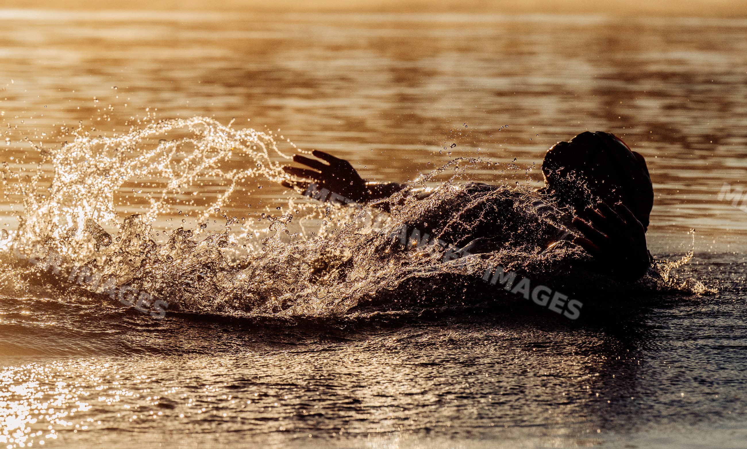 White swimmer performing backstroke with splashing water