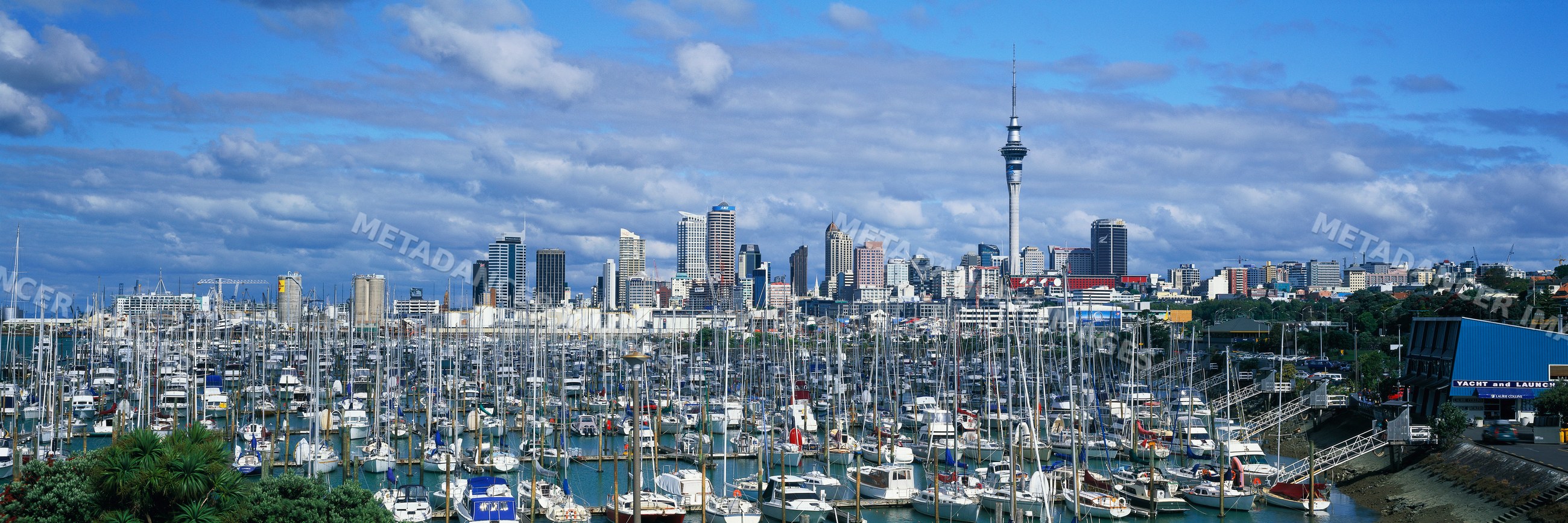 Marina auckland with sailboats and city skyline