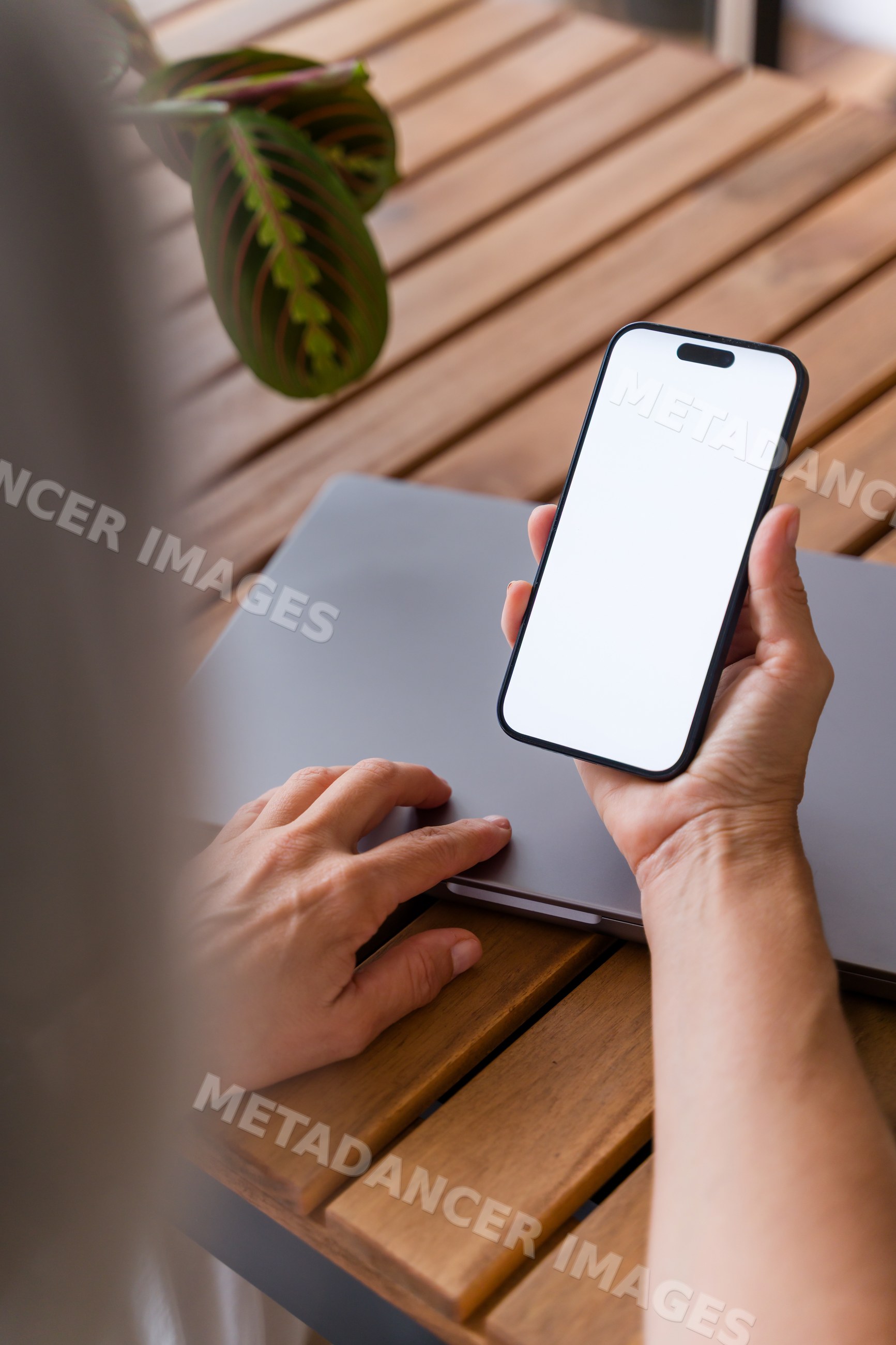 Hand holding a smartphone with a blank screen