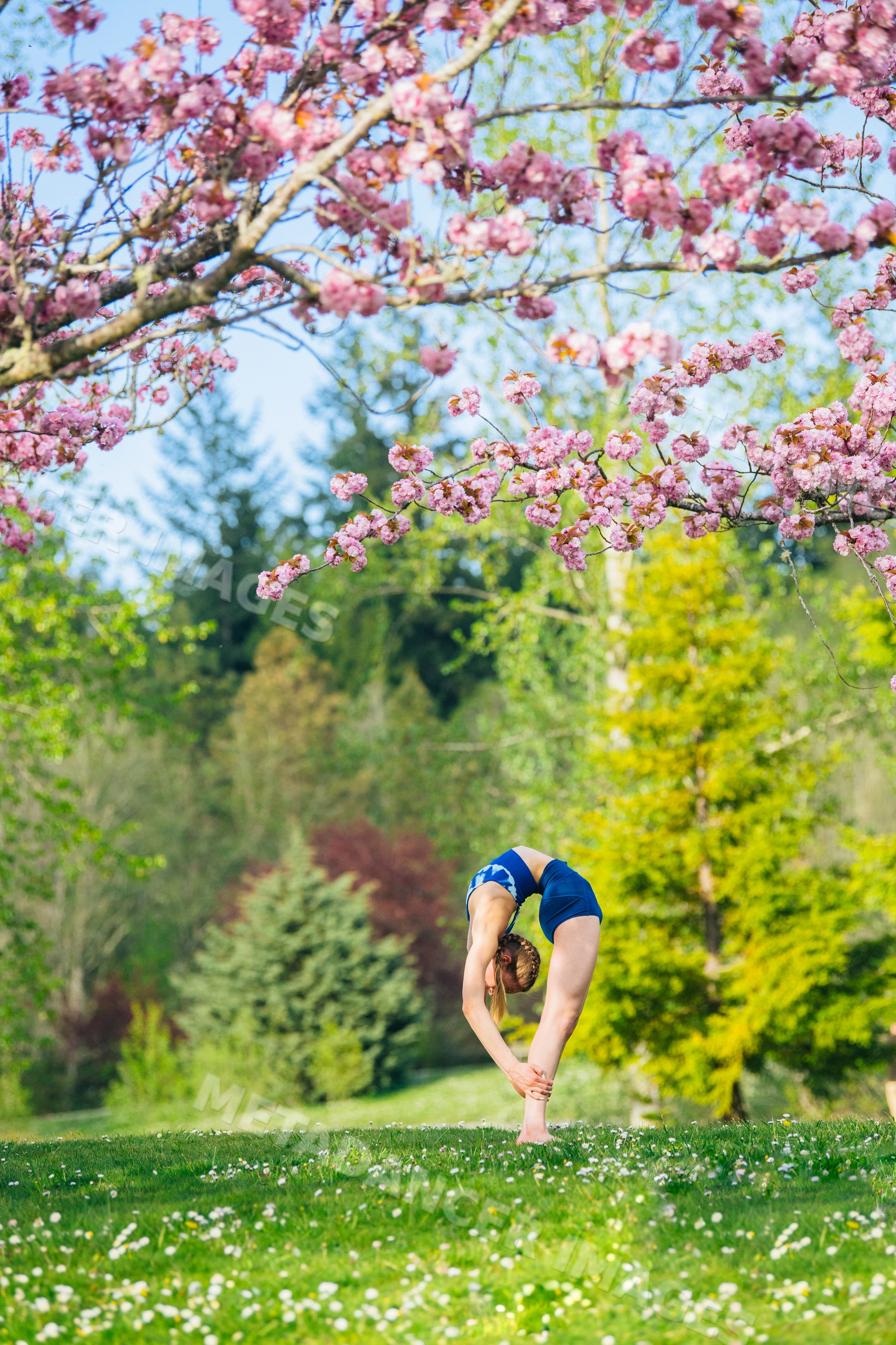White woman practicing yoga stretching outdoors under pink blossoming
