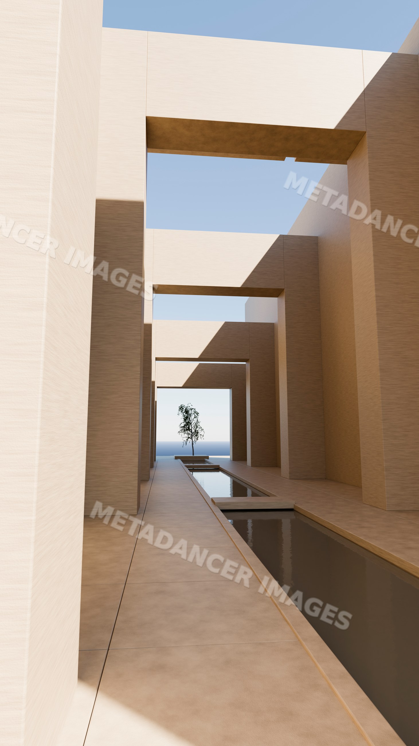 Modern architectural corridor with reflecting pool and tree
