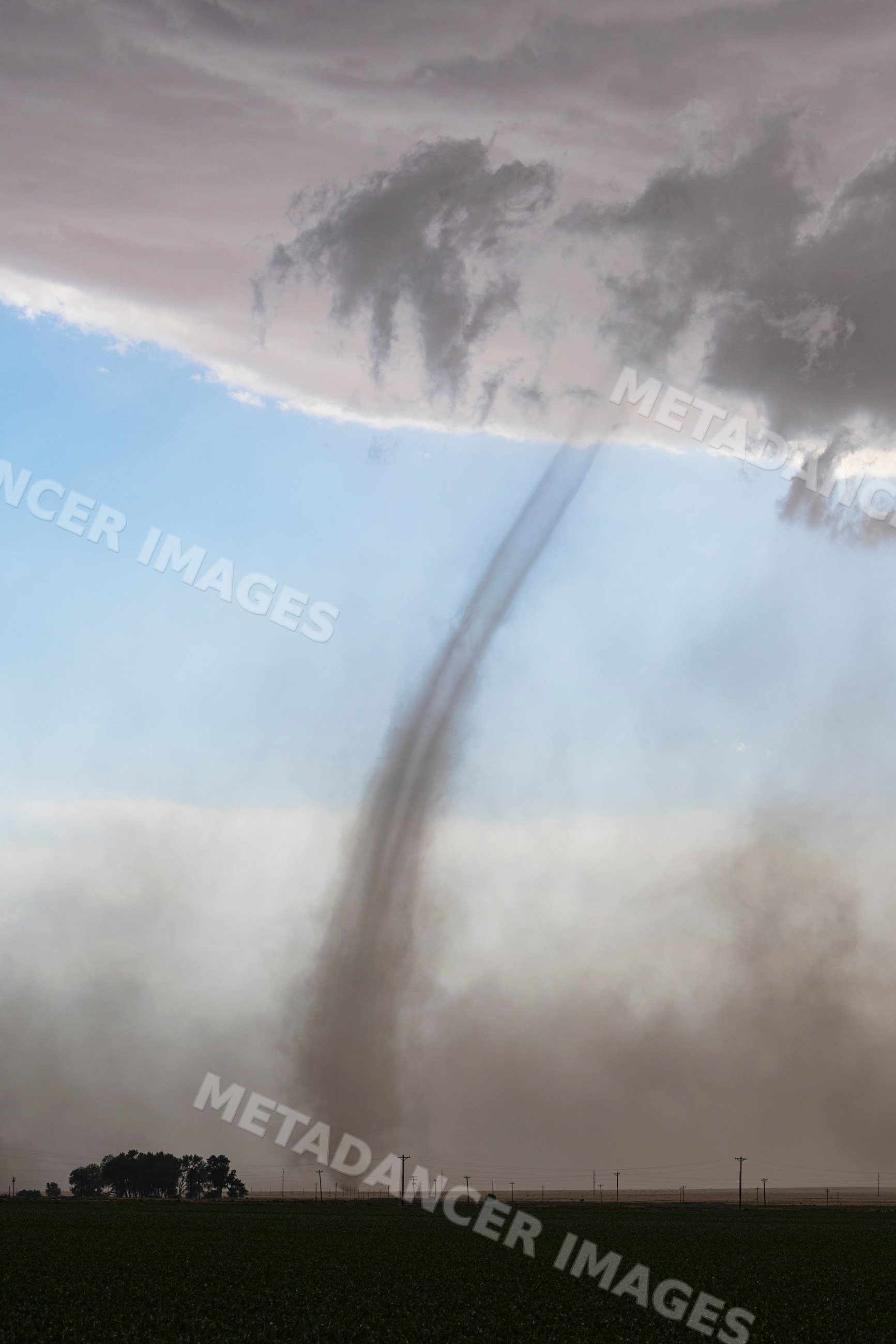 Landspout tornado over field in fowler, colorado