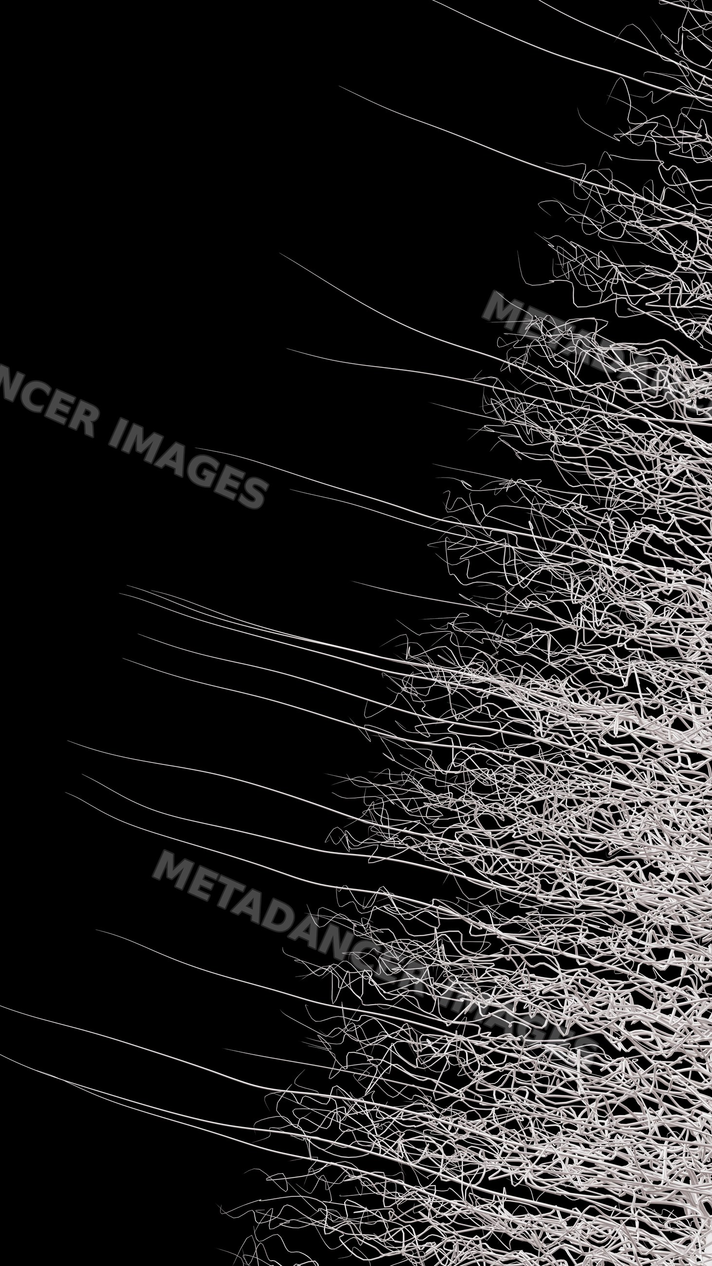 Abstract digital wireframe network with complex lines