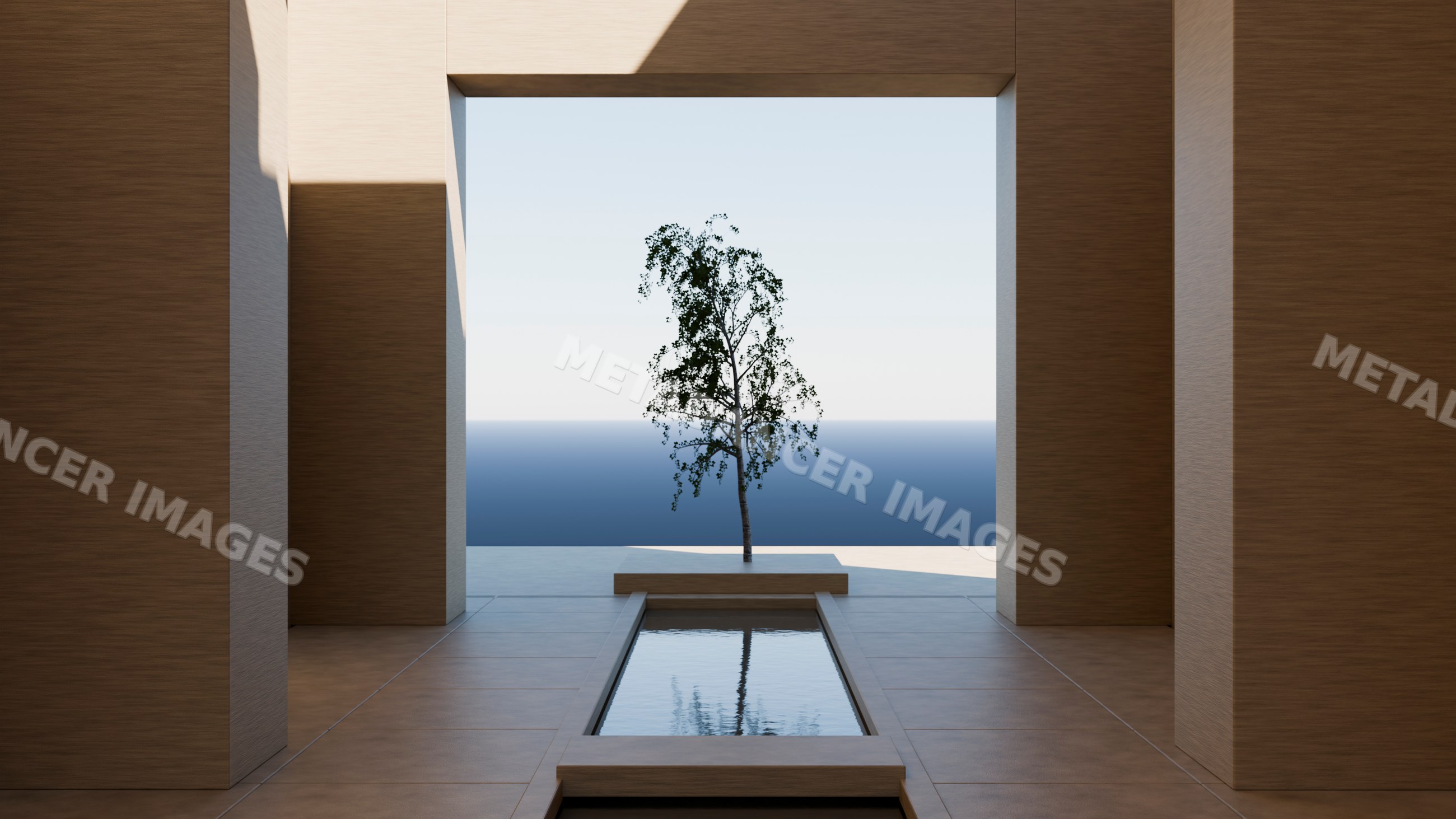 Modern architecture with reflective pool and solitary tree