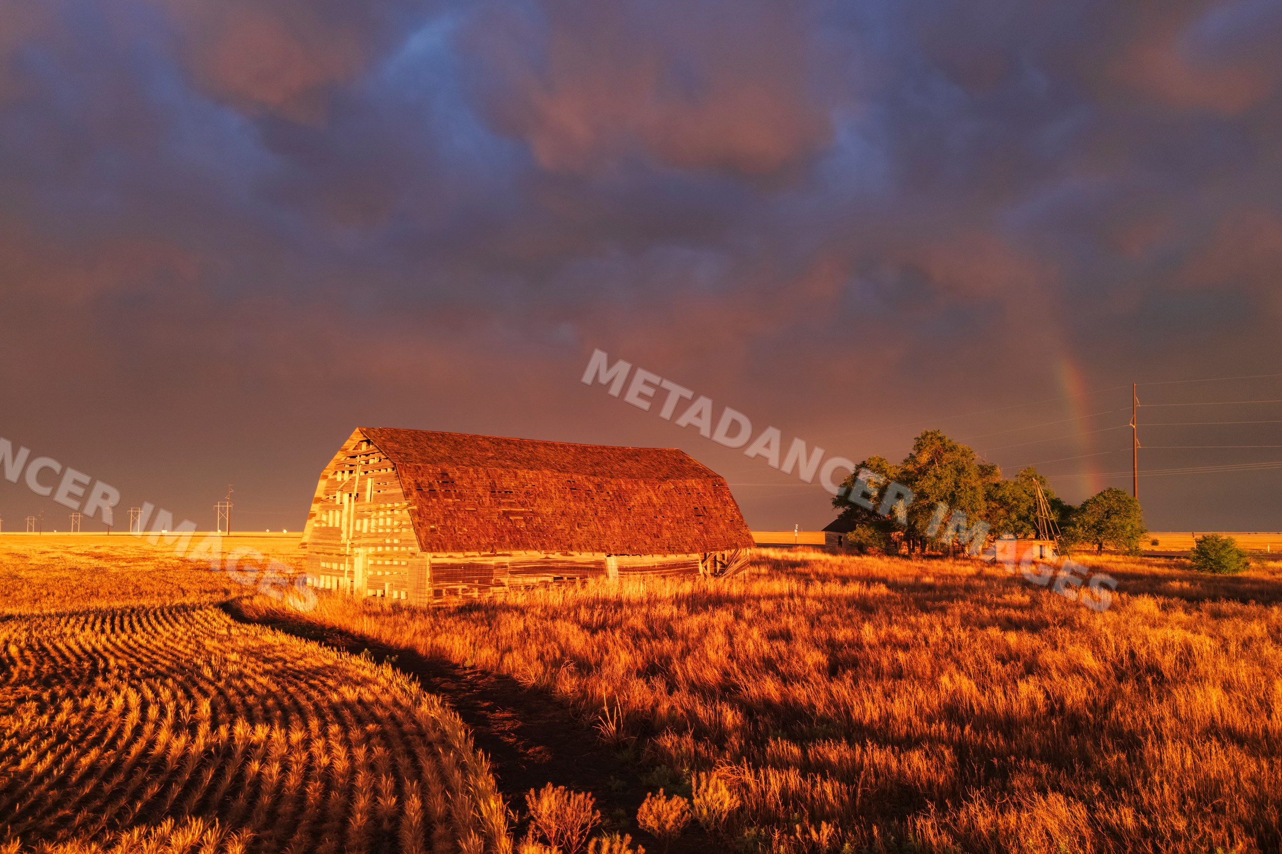 Old barn at sunset with rainbow in rural oklahoma field