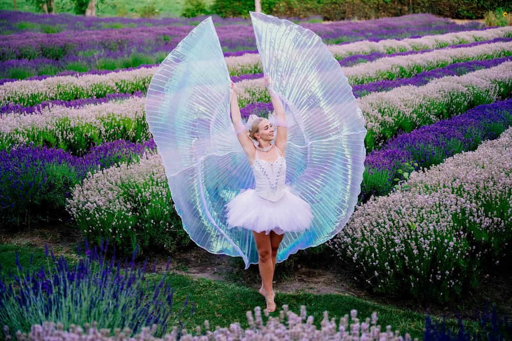 A ballerina dances gracefully with iridescent wings