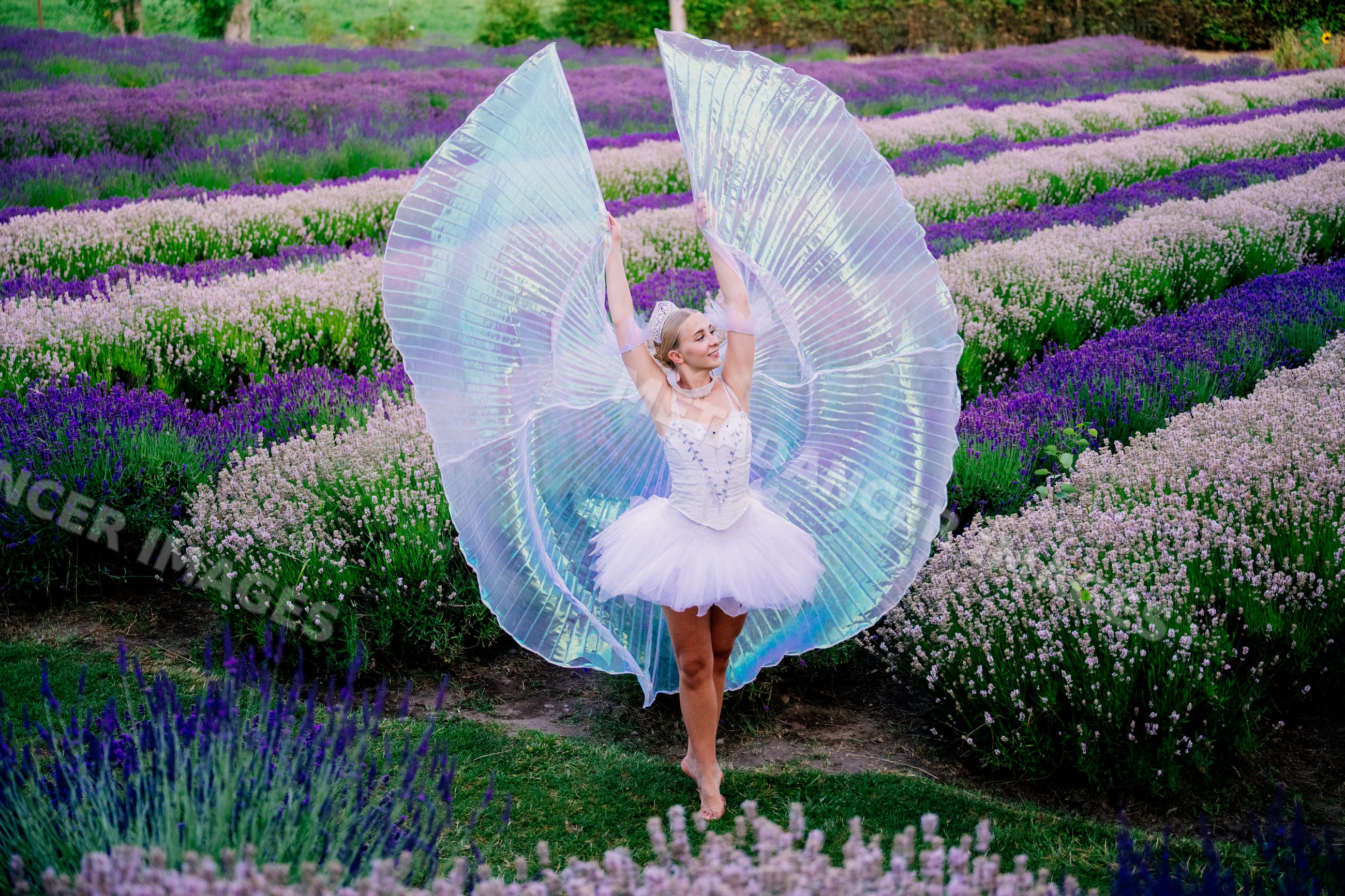 A ballerina dances gracefully with iridescent wings