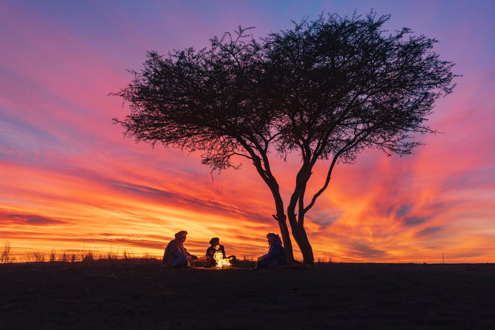 Three Berbers around fire under acacia tree at moroccan desert sunset