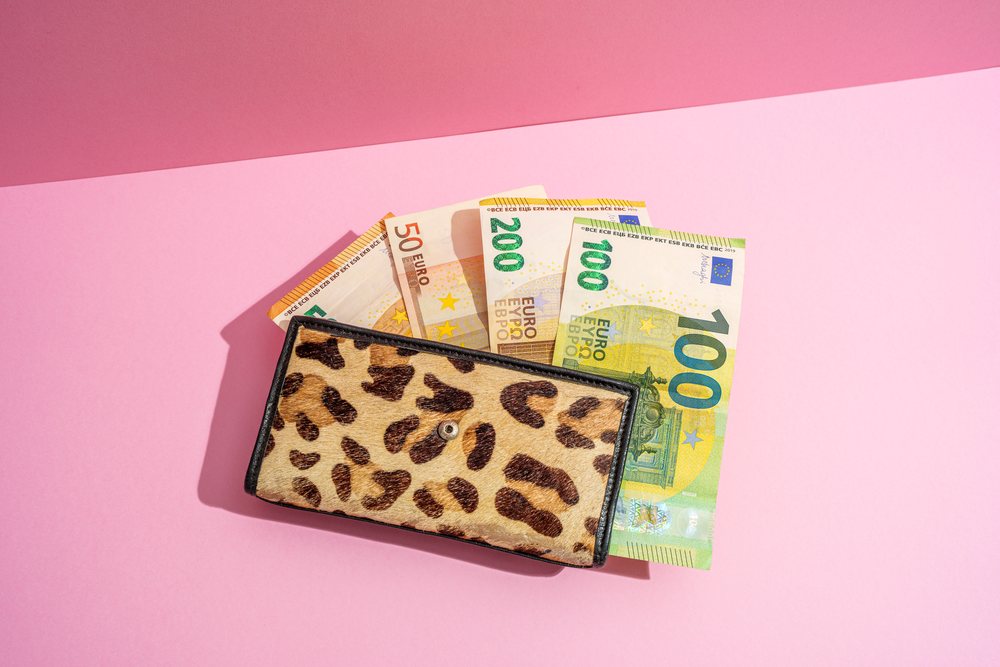 Leopard print wallet with euro banknotes on pink background