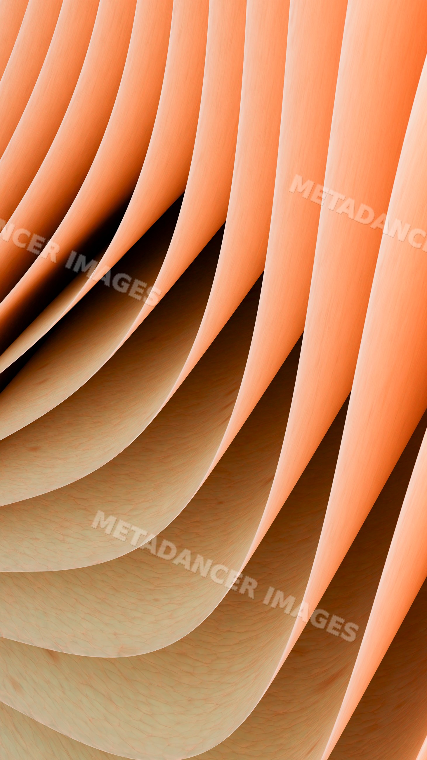 Orange paper sheets curved in abstract layered architectural design