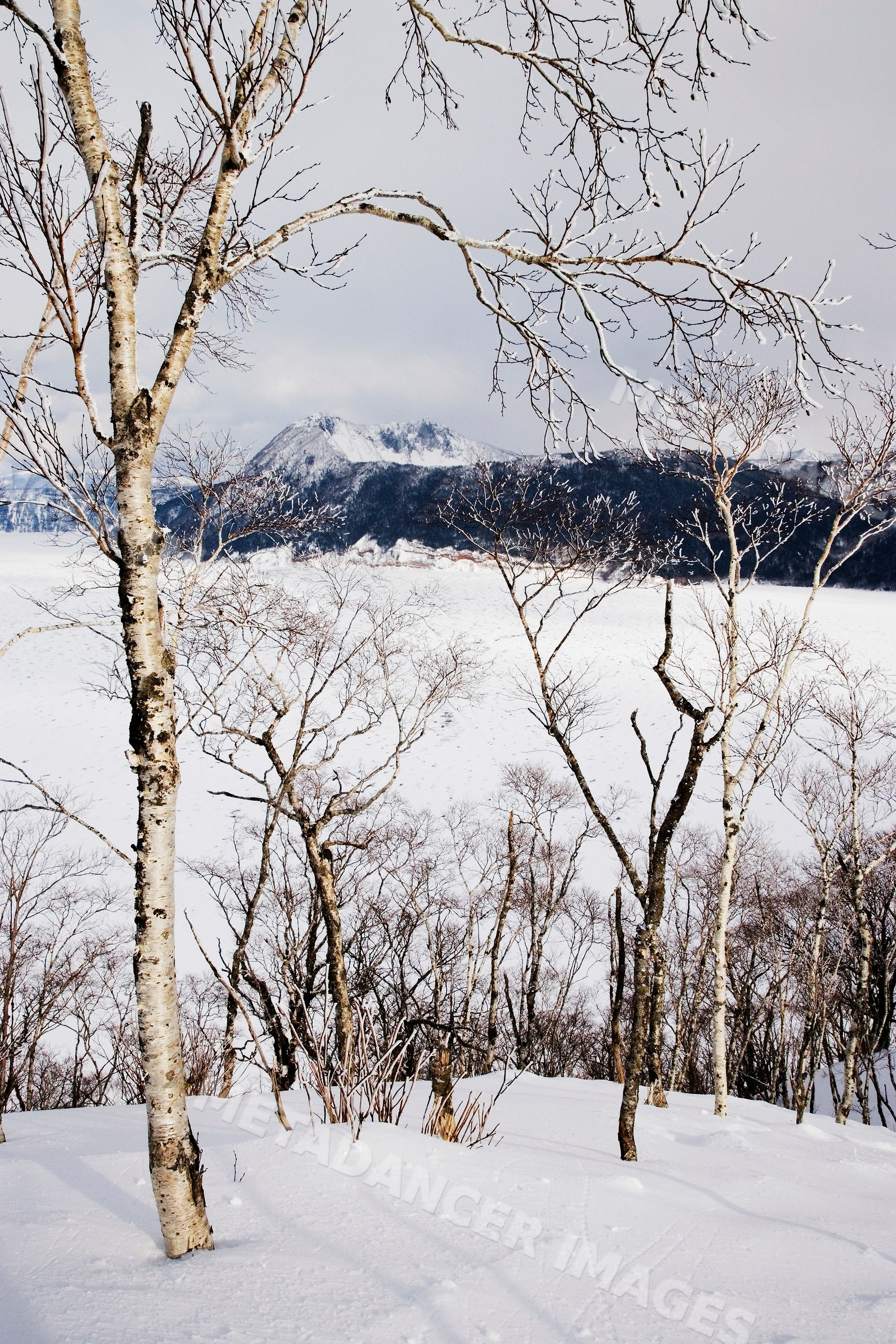 Lake mashu-ko winter scene with snowy trees, hokkaido