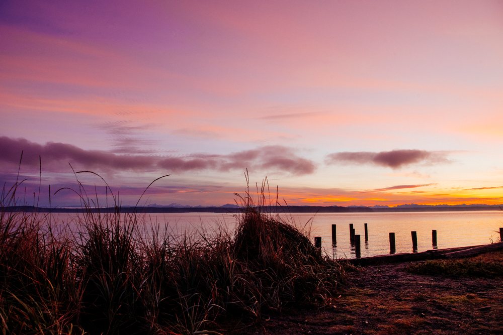 Sunset over calm water with pier posts and grassy plants