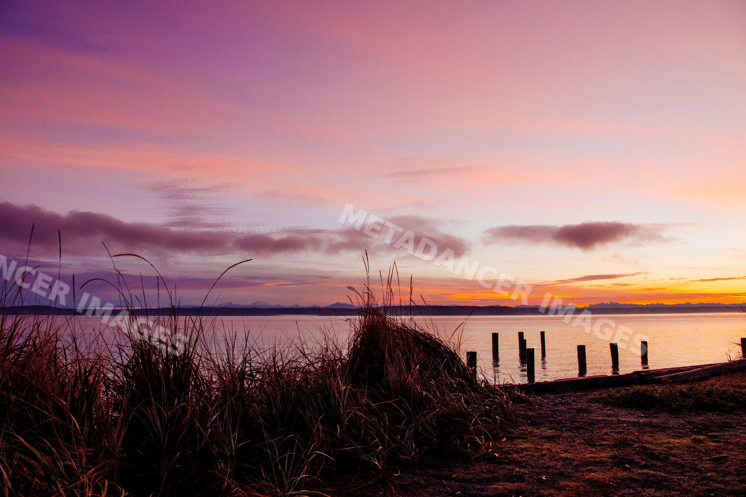Sunset over calm water with pier posts and grassy plants