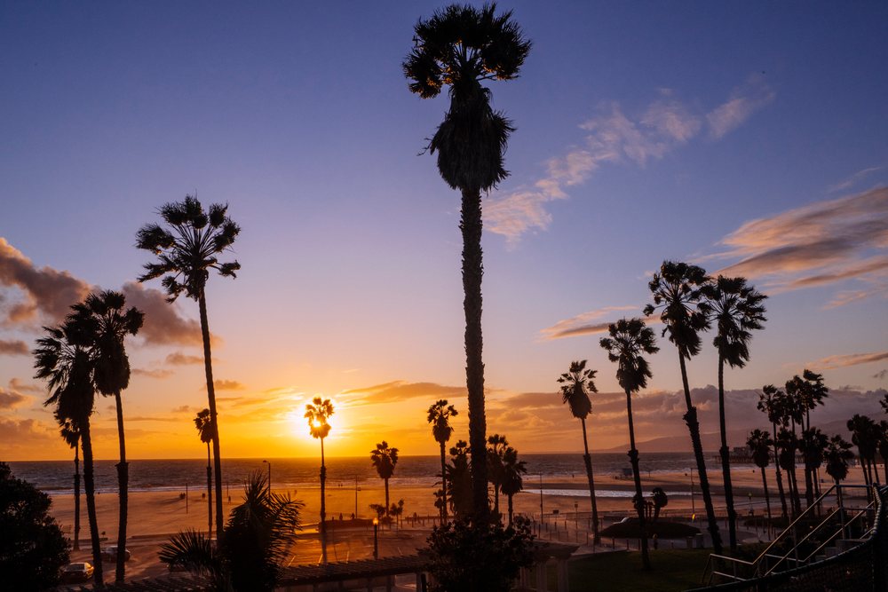 Sunset over palm trees at Venice Beach california coastline