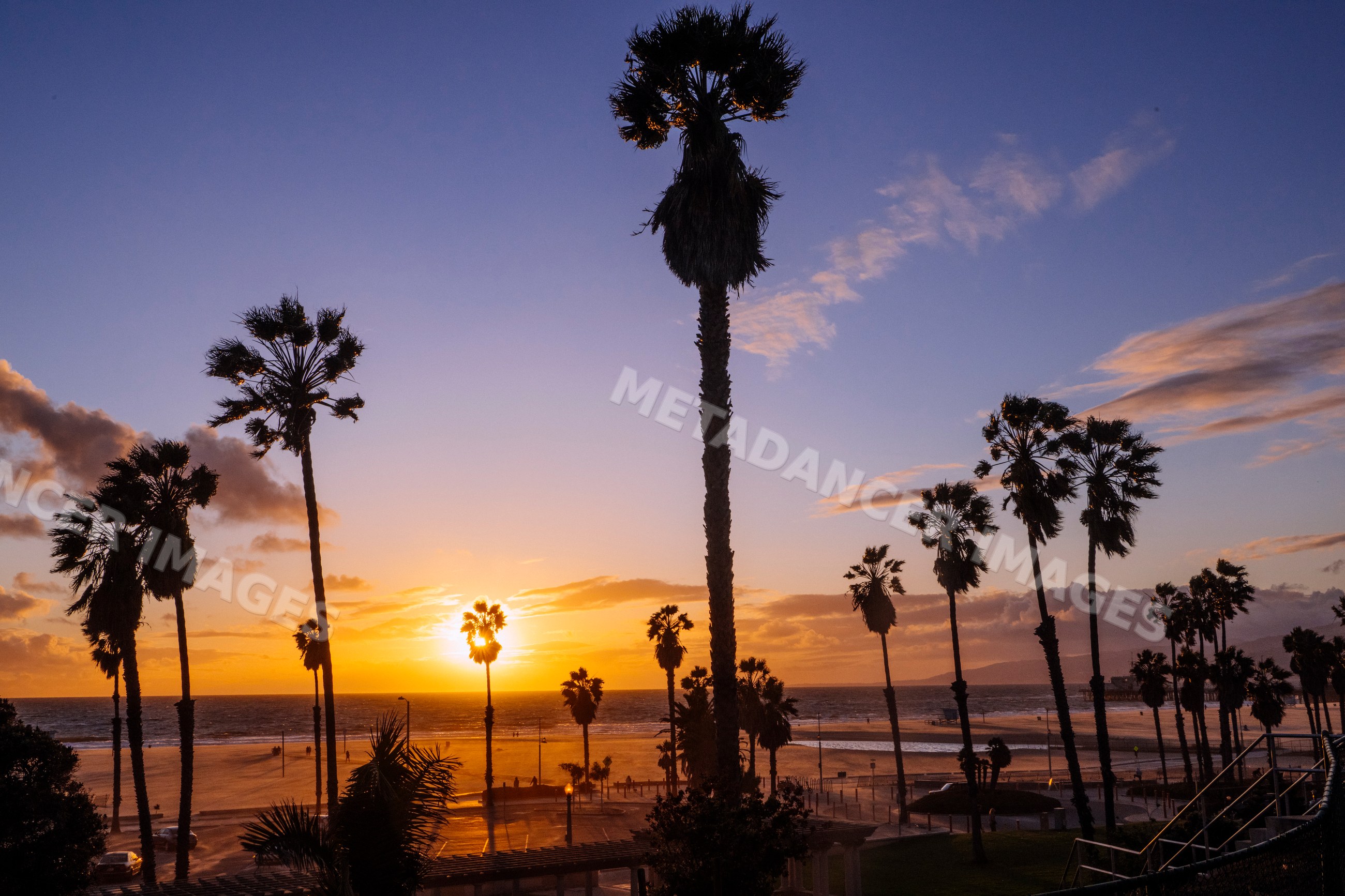 Sunset over palm trees at Venice Beach california coastline