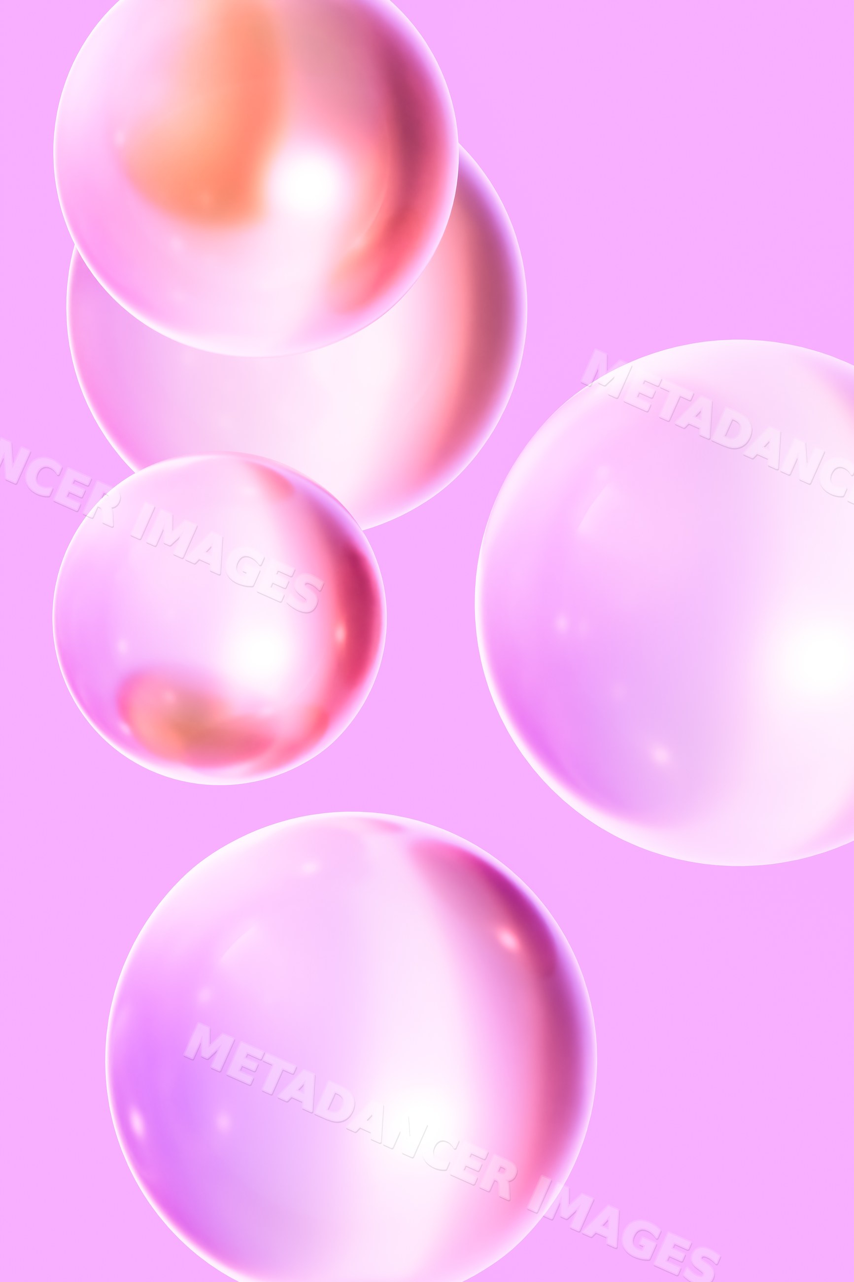 Pink floating transparent bubbles with glossy reflections