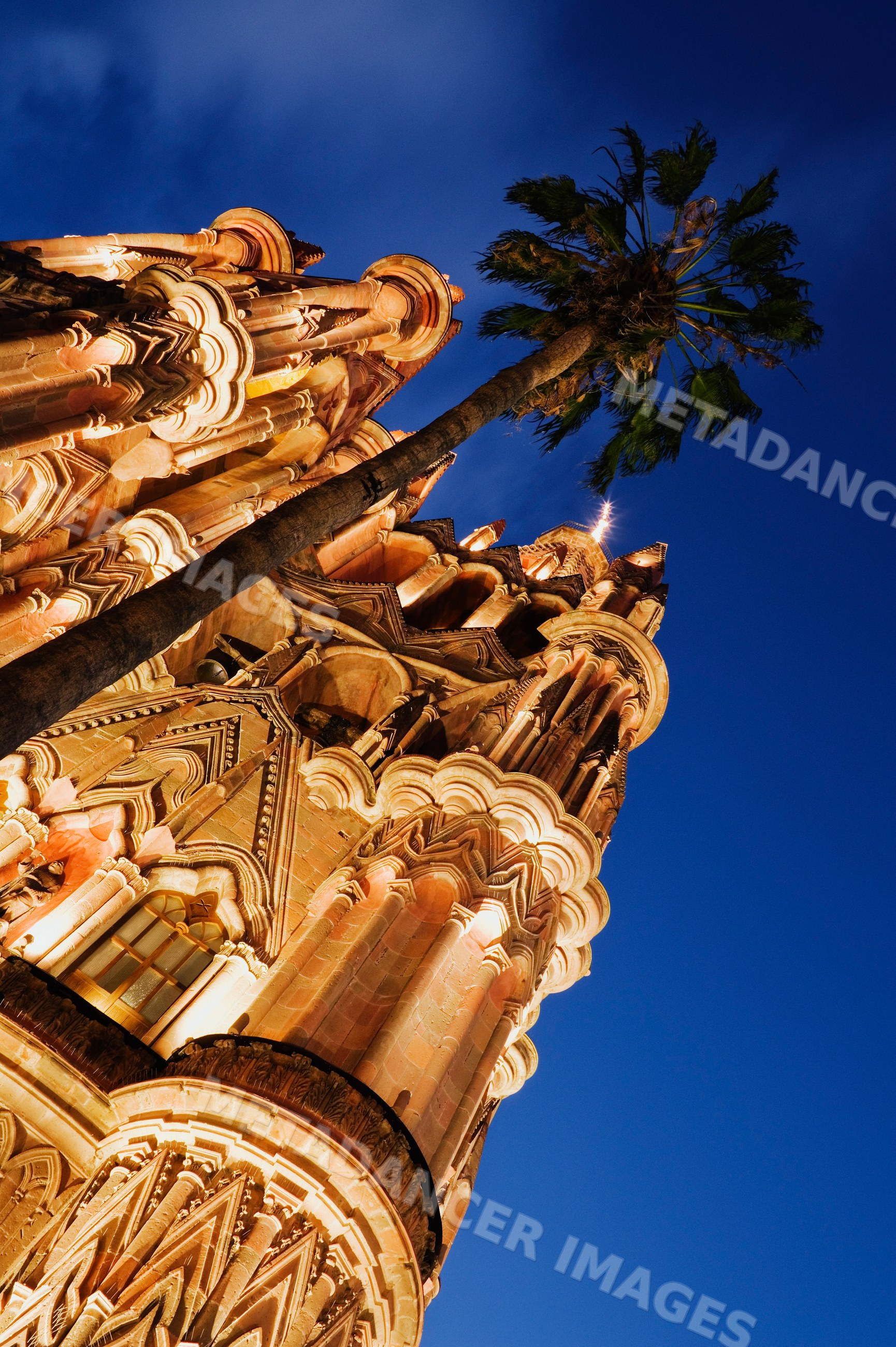 Illuminated ornate church tower and palm tree mexico