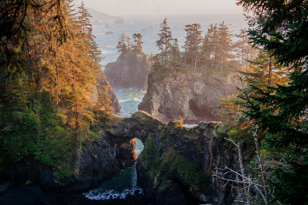 Rock arch on the coast with evergreen trees Oregon