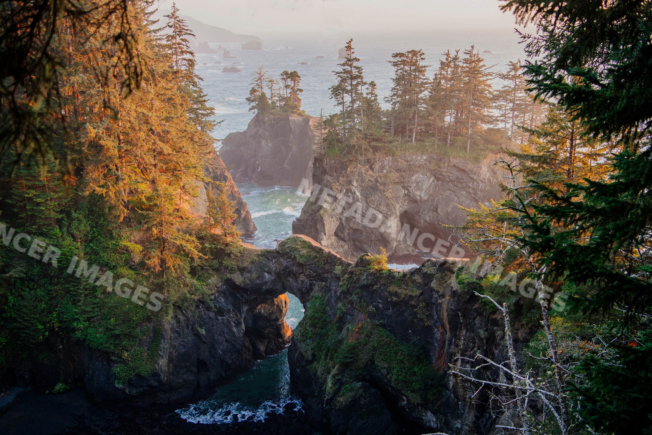 Rock arch on the coast with evergreen trees Oregon