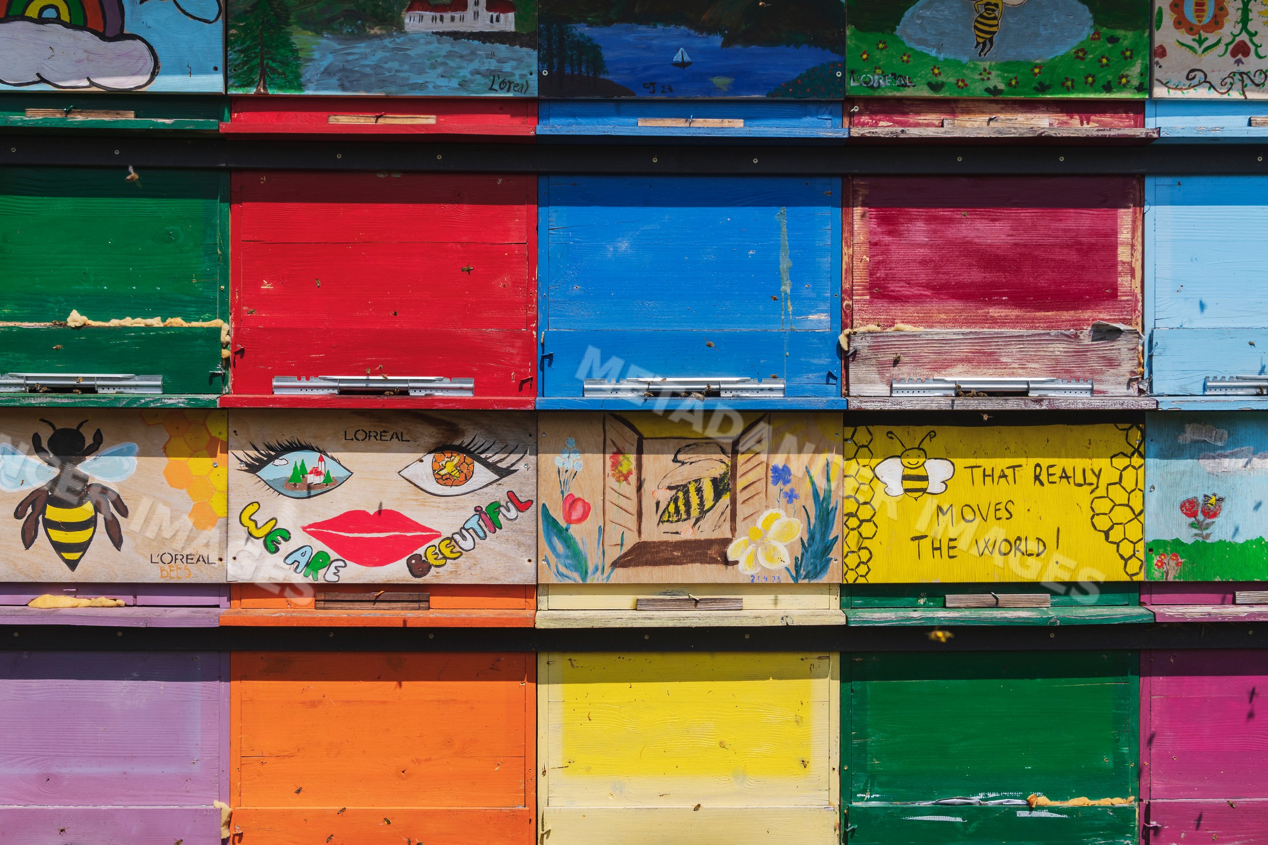 Colorful painted wooden bee hives with bees at an outdoor apiary