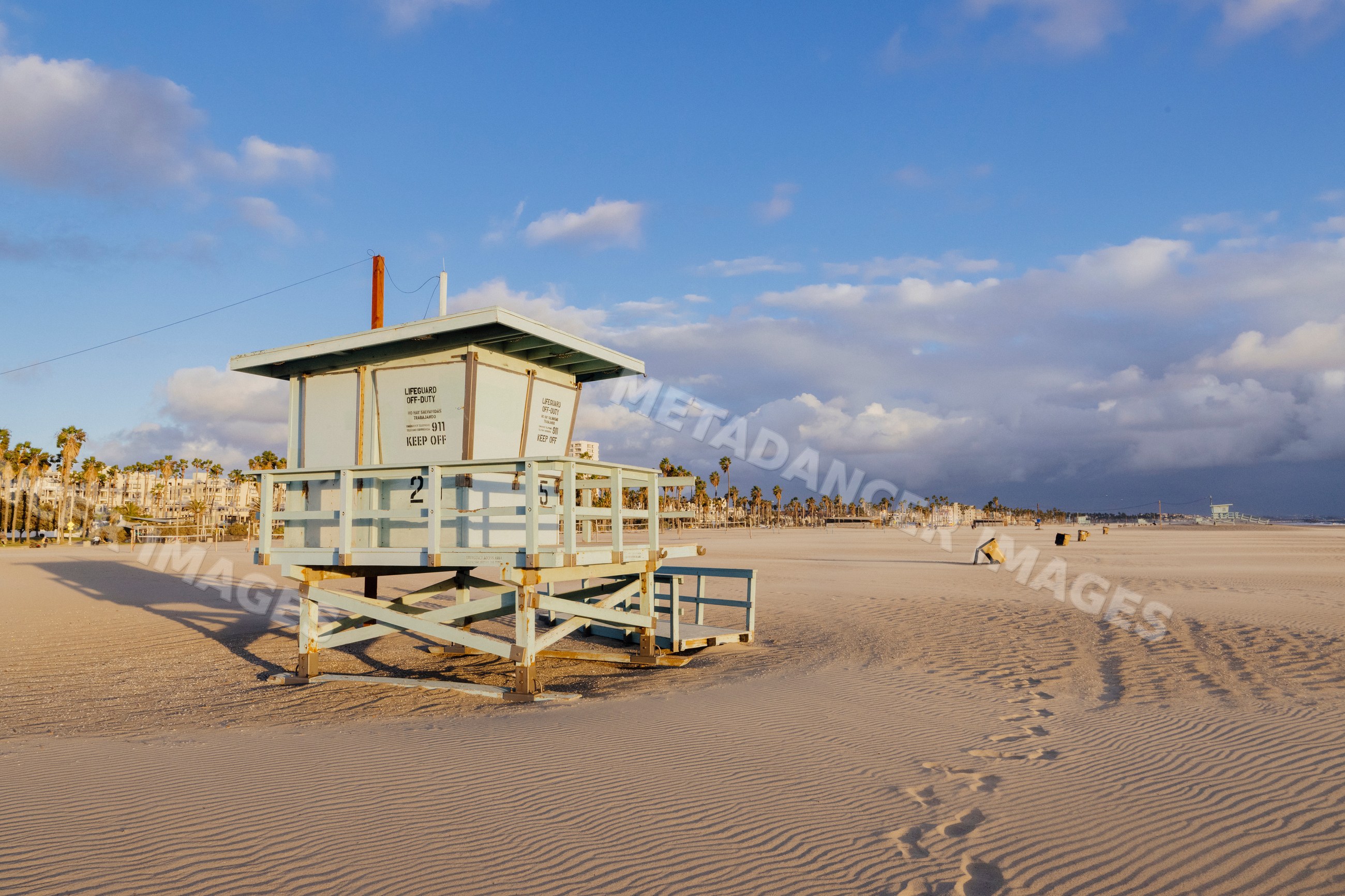 Lifeguard tower on sandy Venice Beach with palm trees and blue sky
