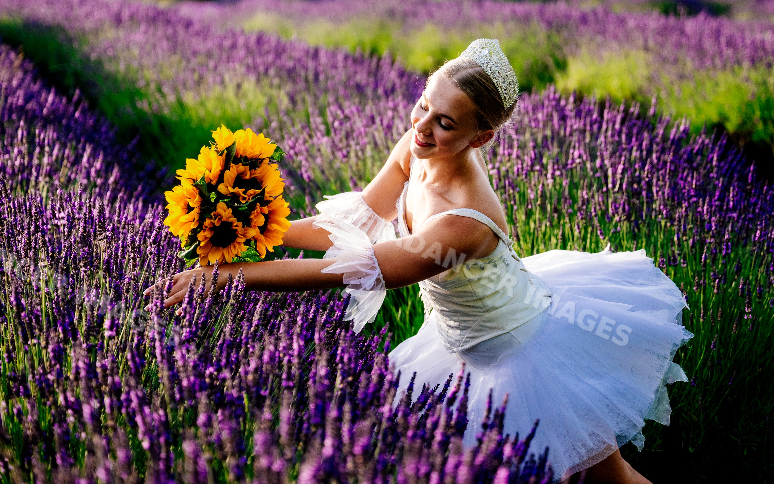 A white dancer holds a sunflower bouquet in a lavender field