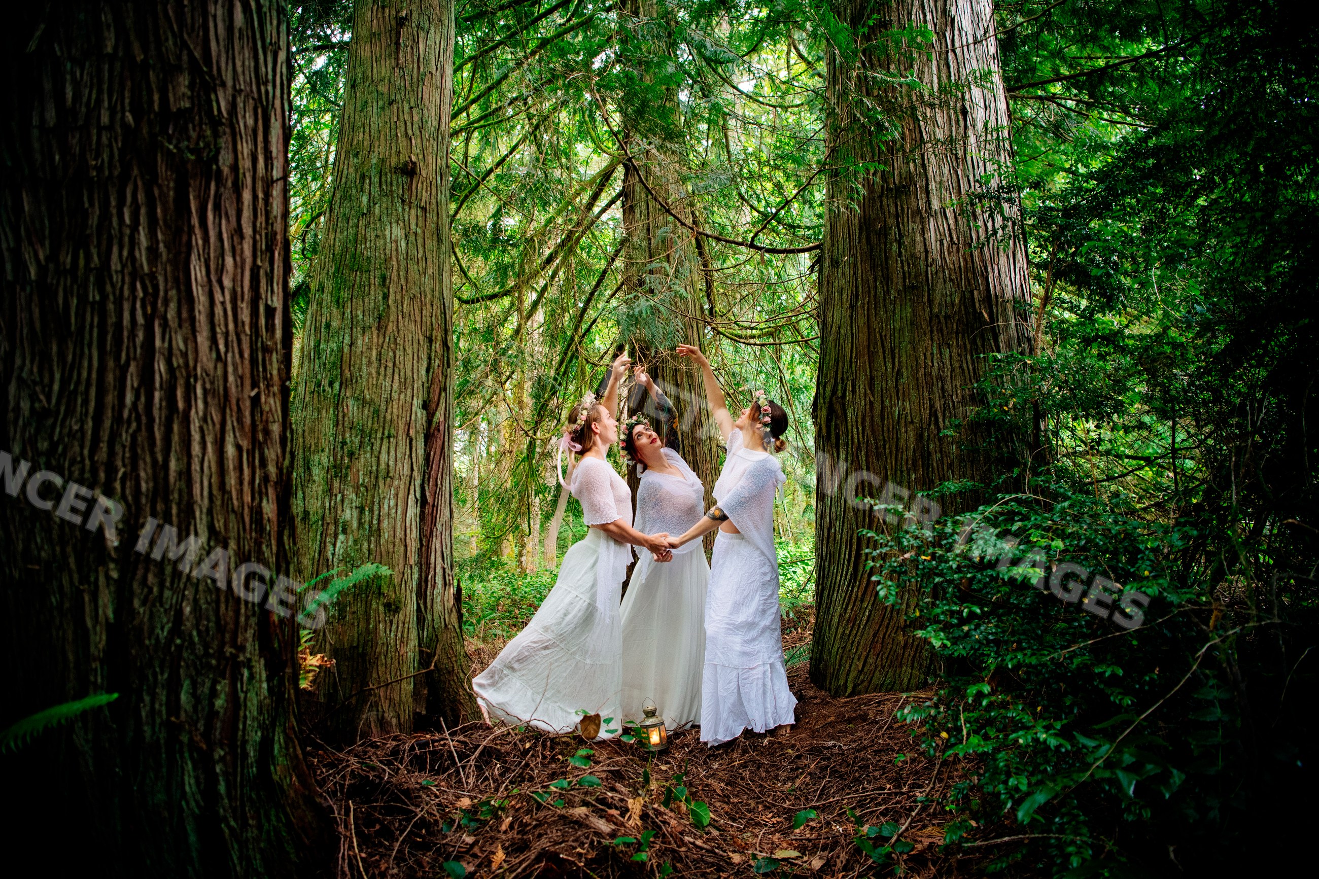 Three women in white dresses holding hands in forest