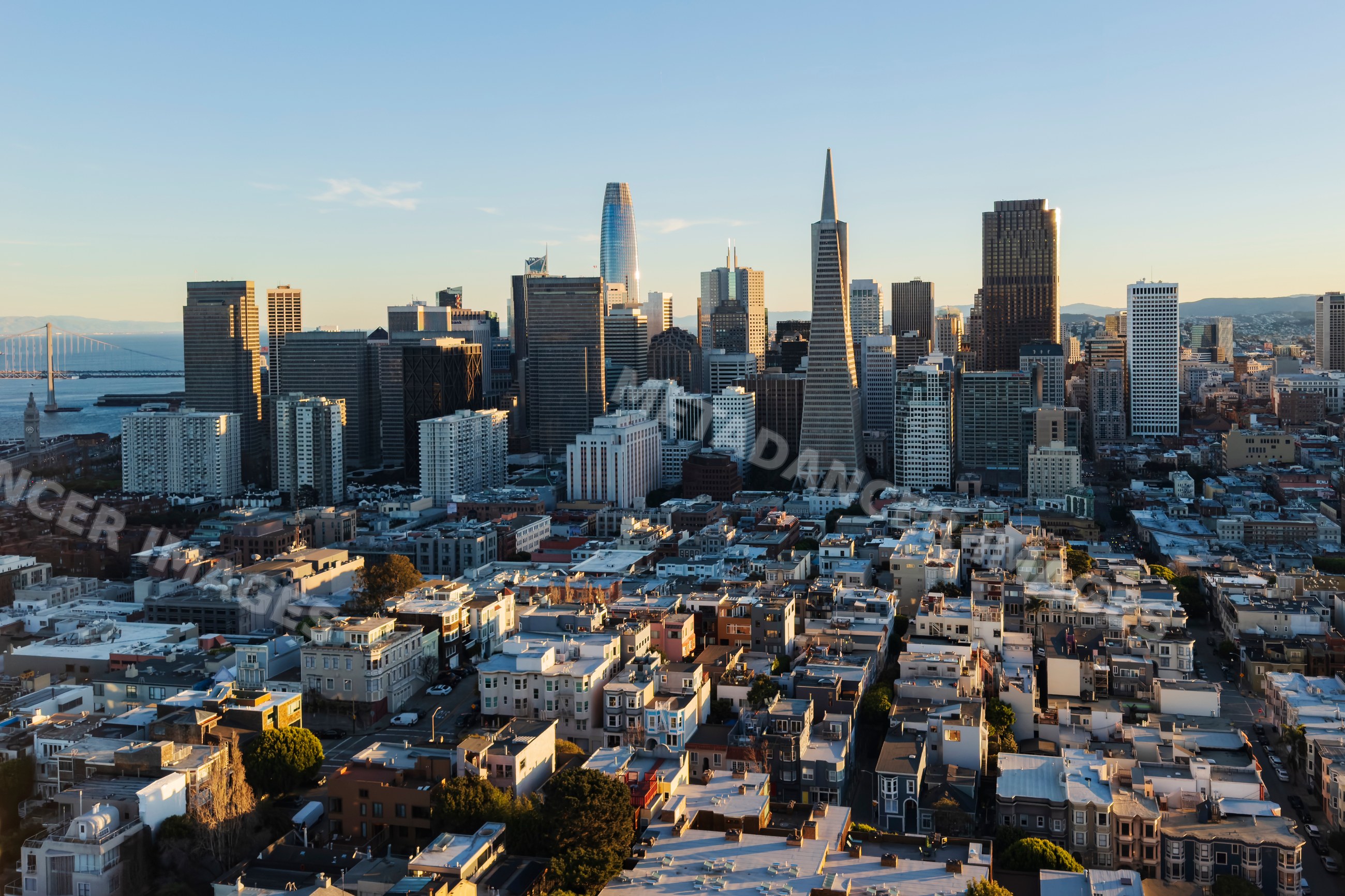 Downtown San Francisco skyline from Coit Tower