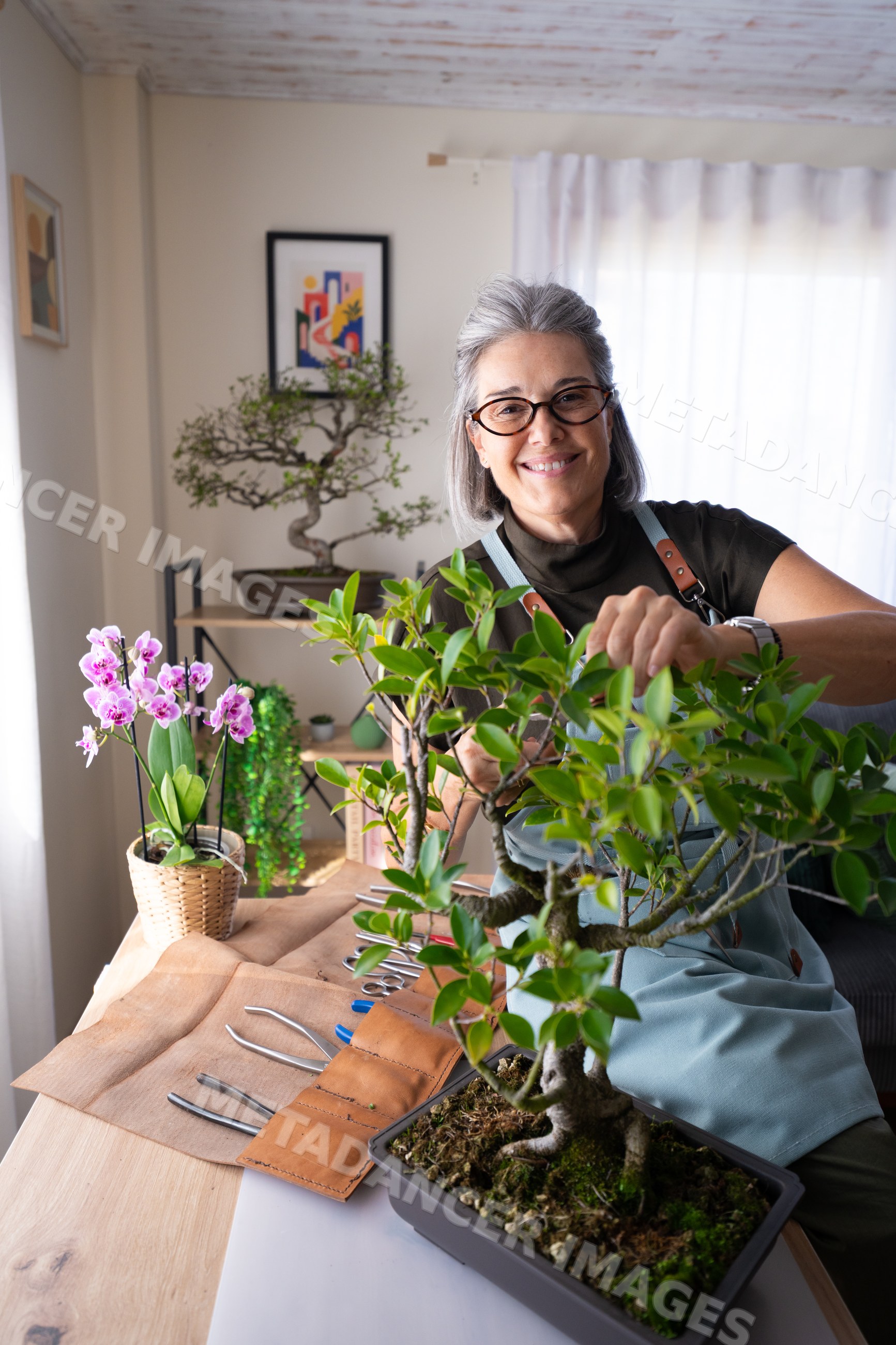 White woman pruning bonsai tree indoors with gardening tools