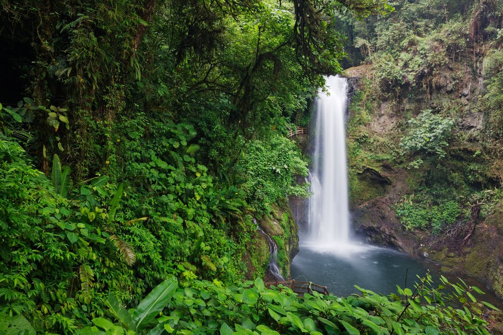 Waterfall tropical forest costa rica
