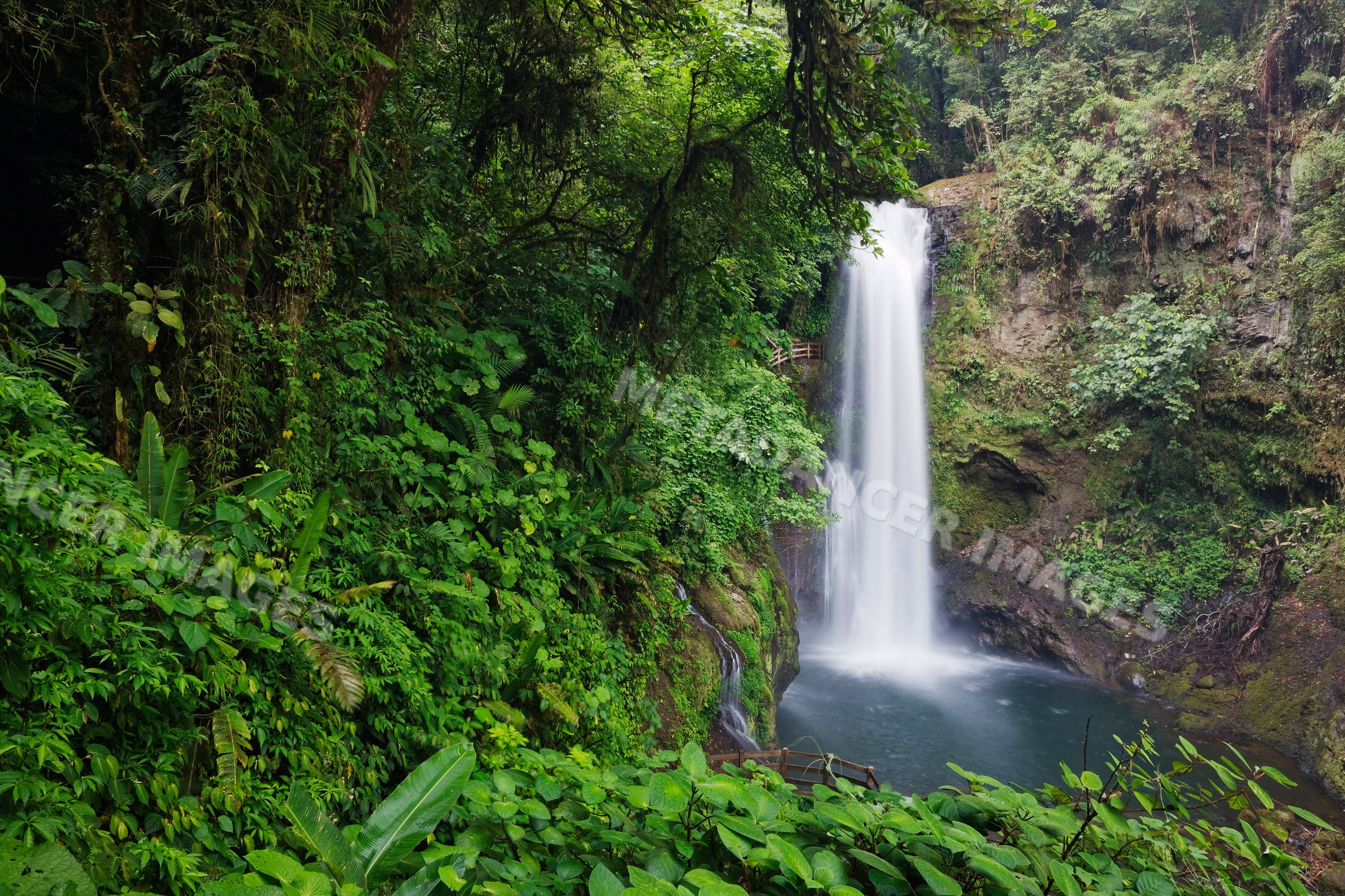 Waterfall tropical forest costa rica