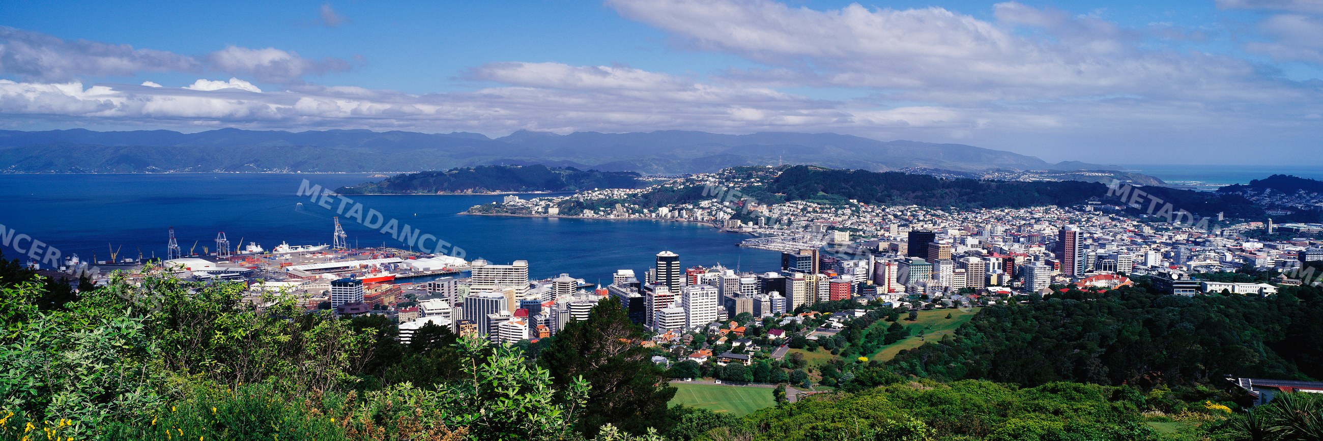 Panoramic view of wellington cityscape and harbor