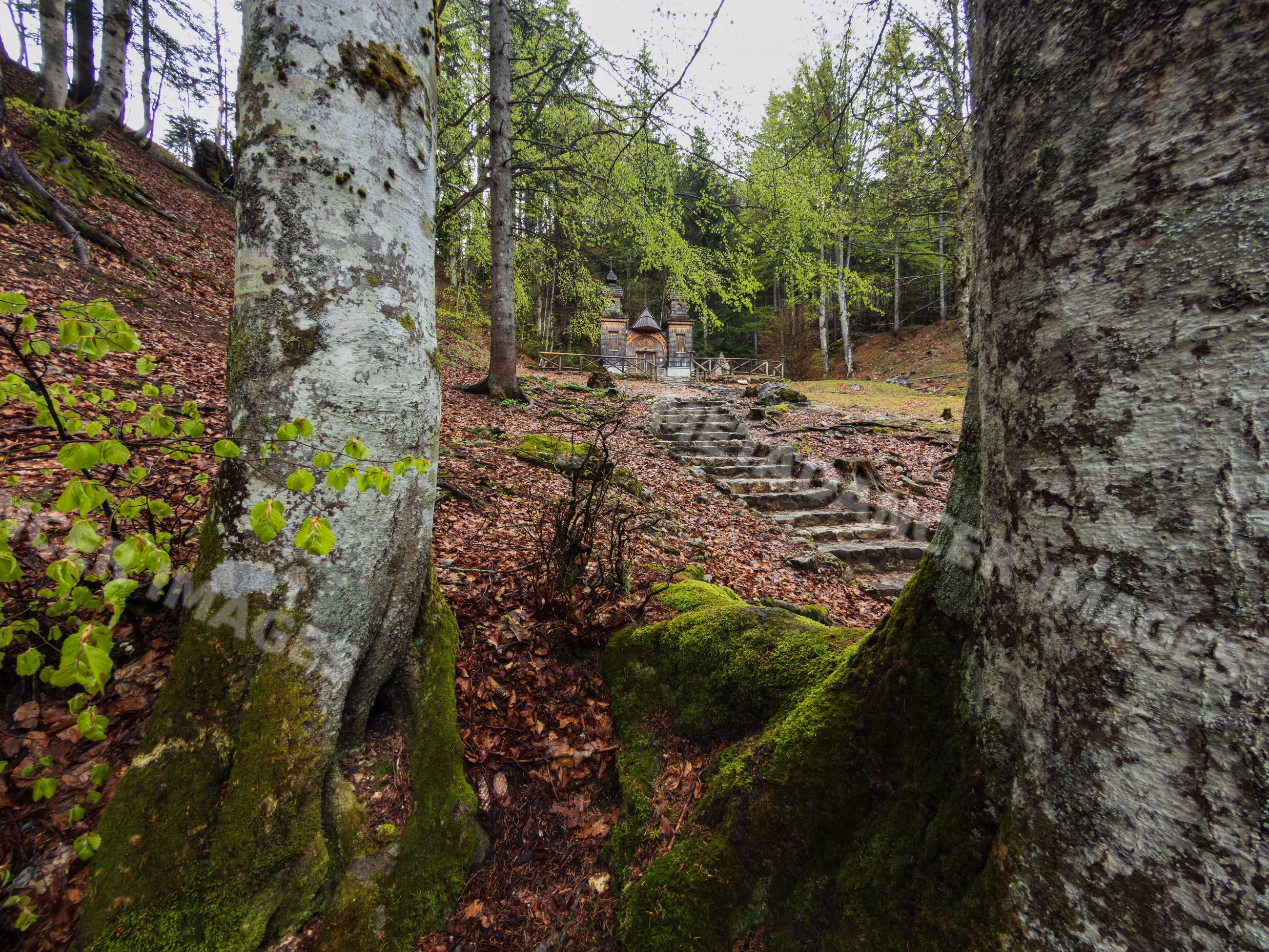 Russian chapel at vršič pass forest