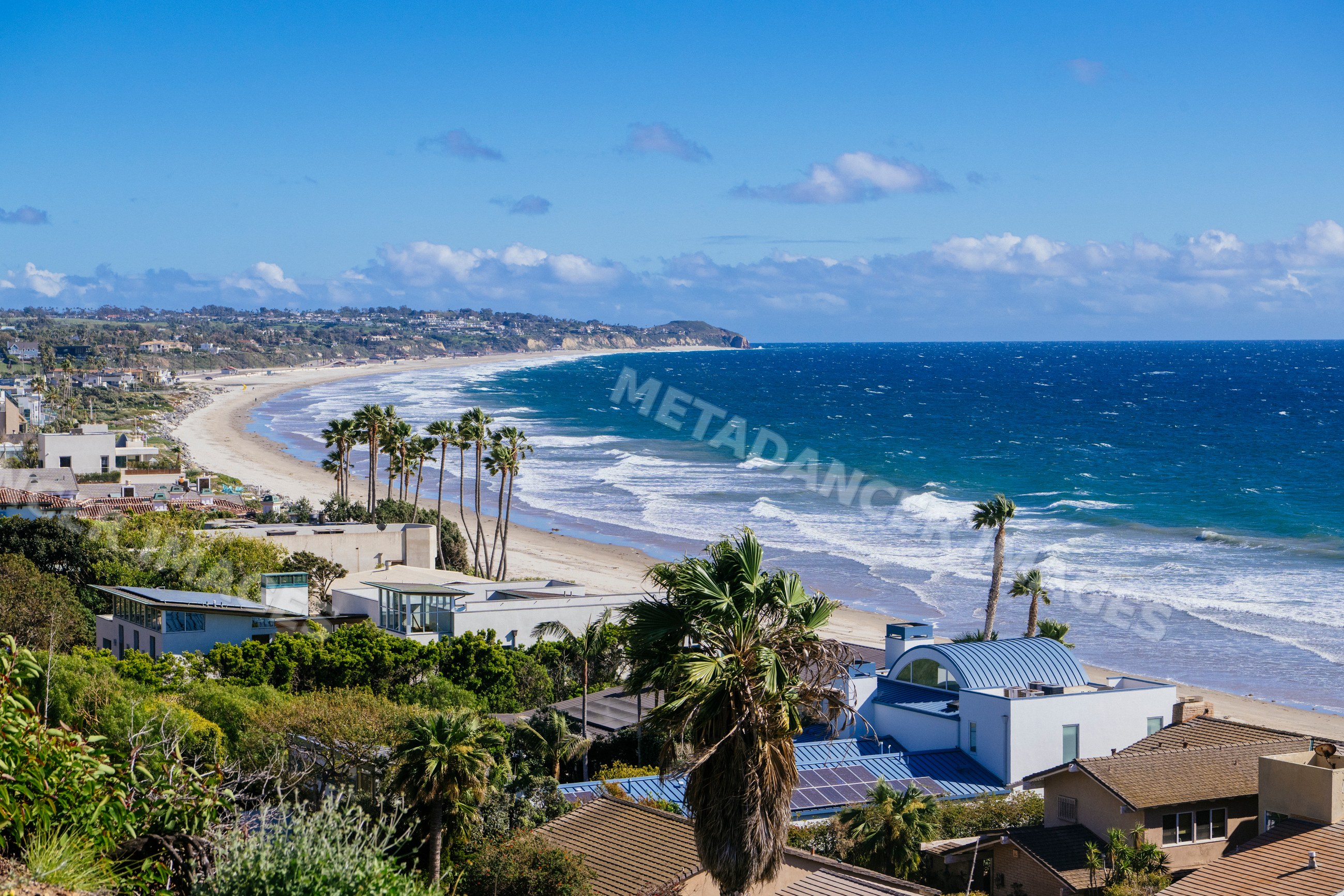 Coastline and residential houses with palm trees at Venice Beach