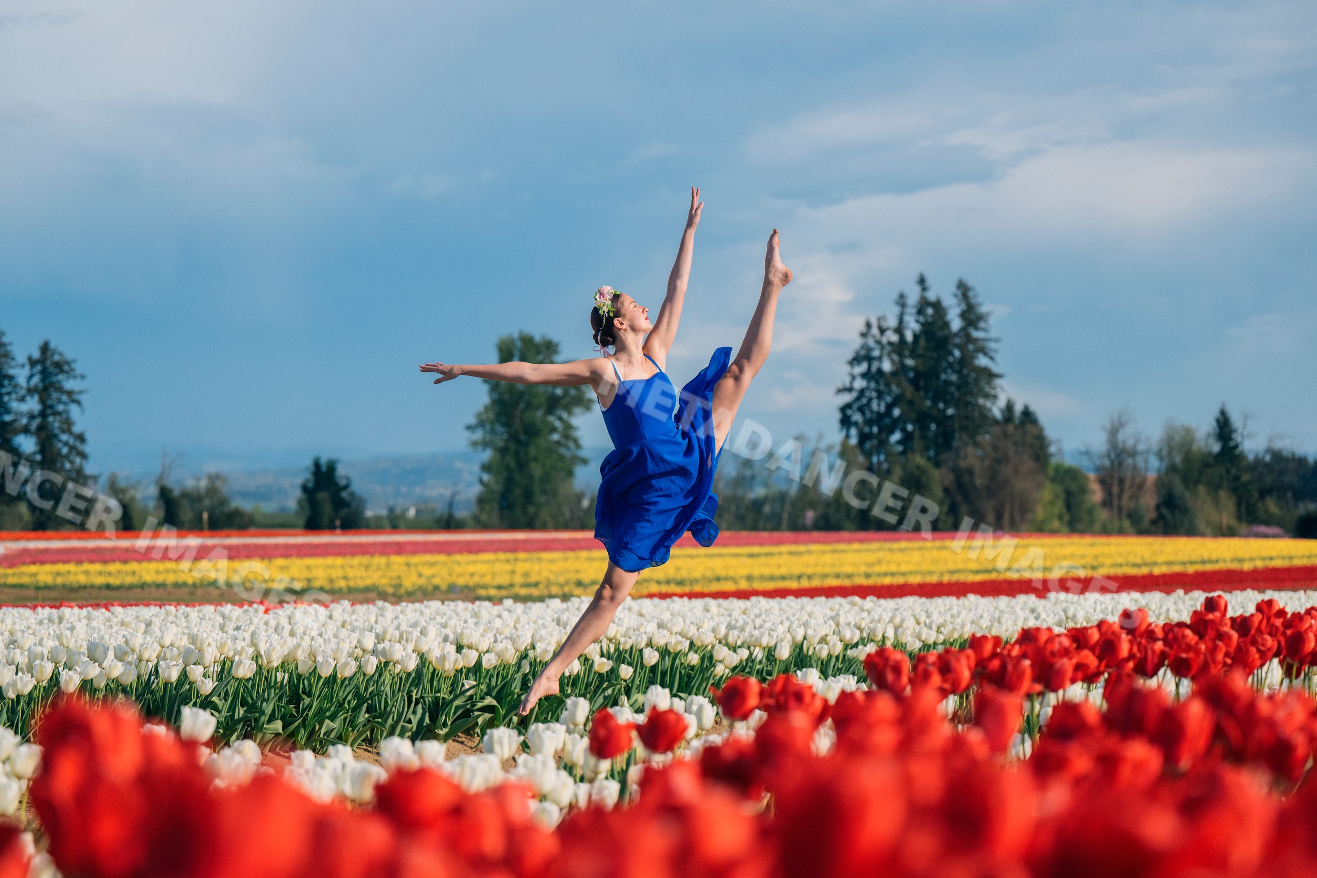 Ballet white dancer leaping over colorful tulip field outdoors