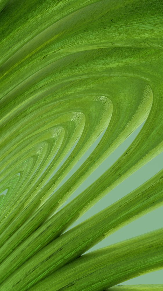 Green abstract swirl tunnel with curved shapes in digital art