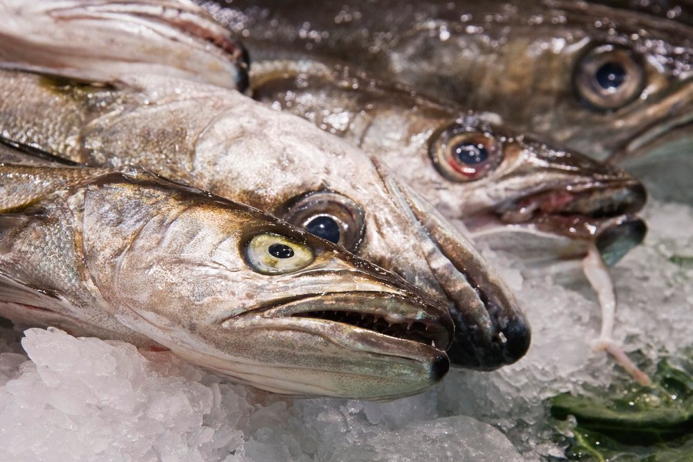 Fresh fish heads displayed on ice at seafood market