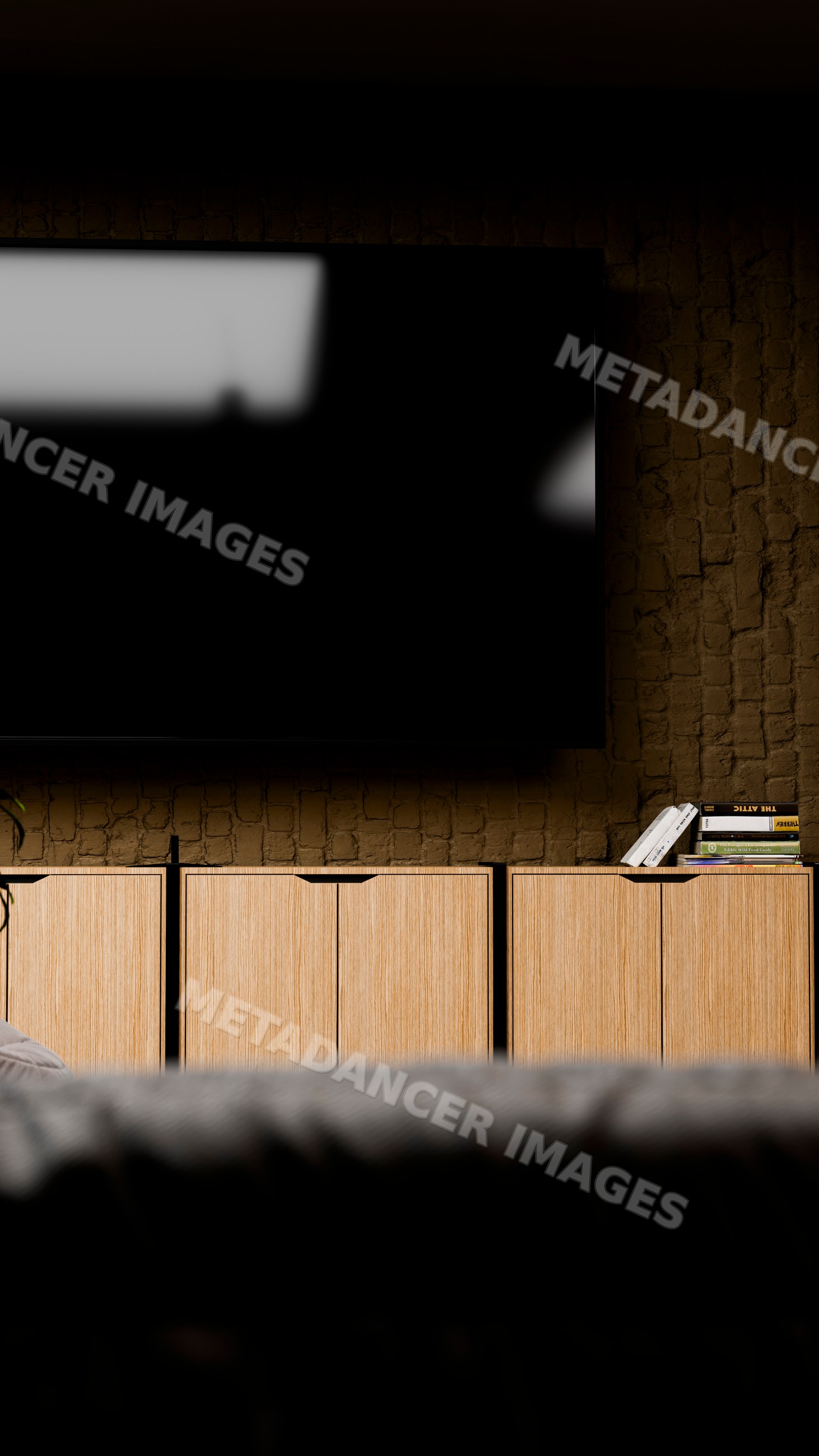 Television above wooden cupboard with books in modern living room