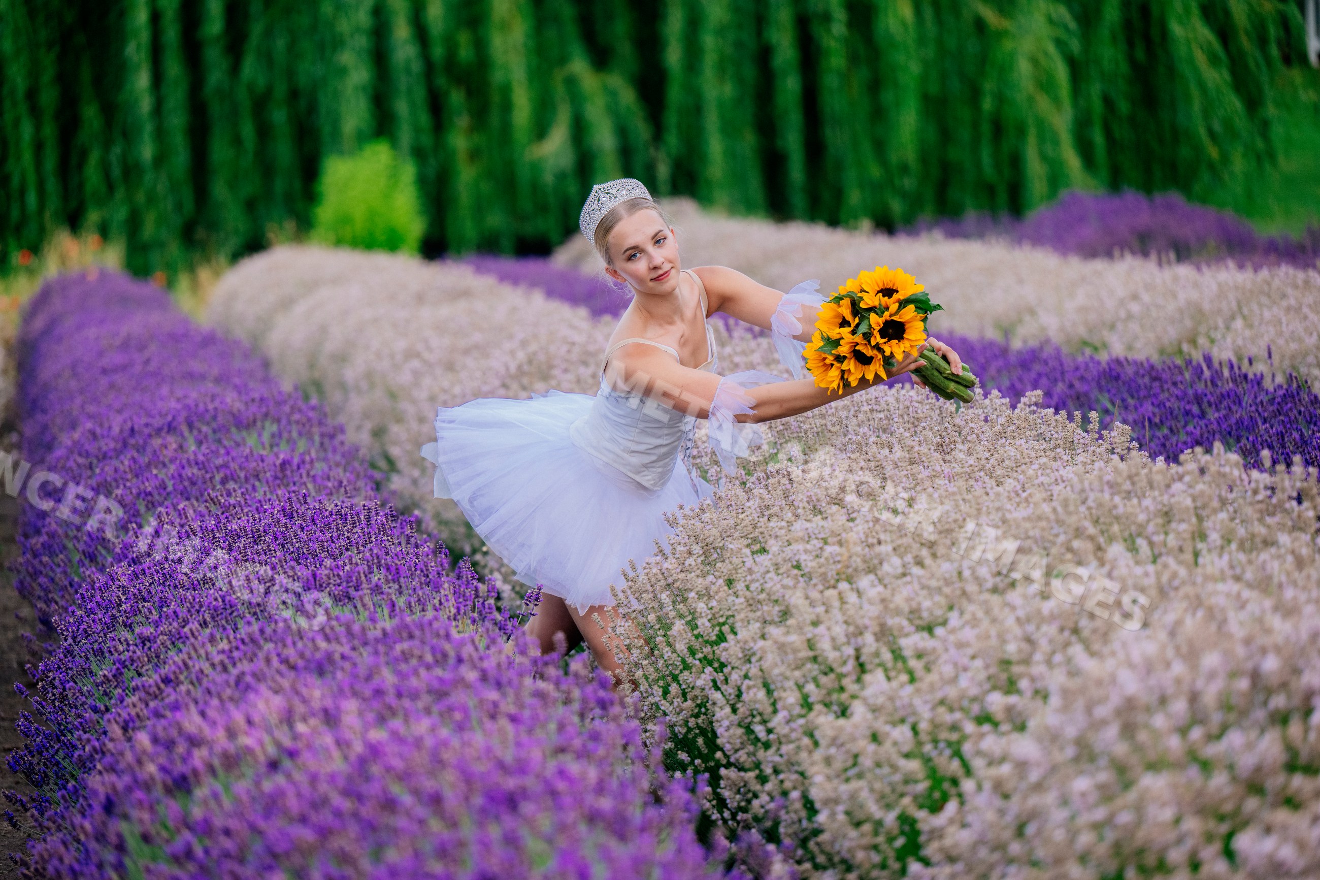 A ballerina poses with sunflowers in a colorful flower field