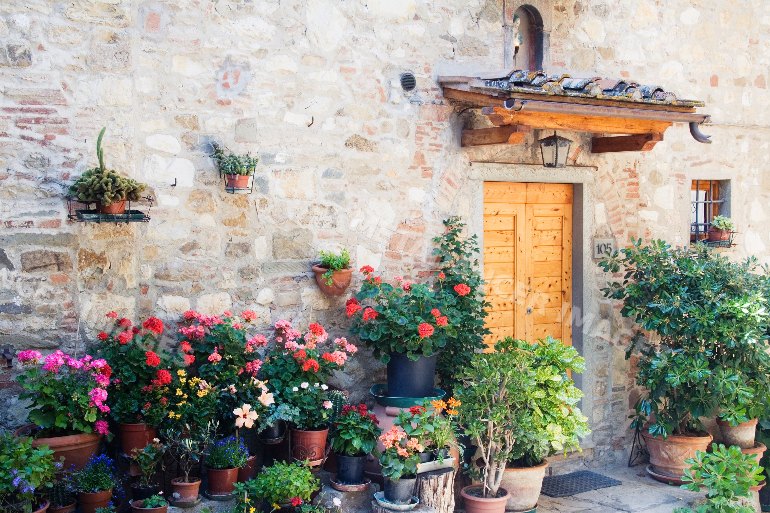 Potted plants outside rustic stone building door italy
